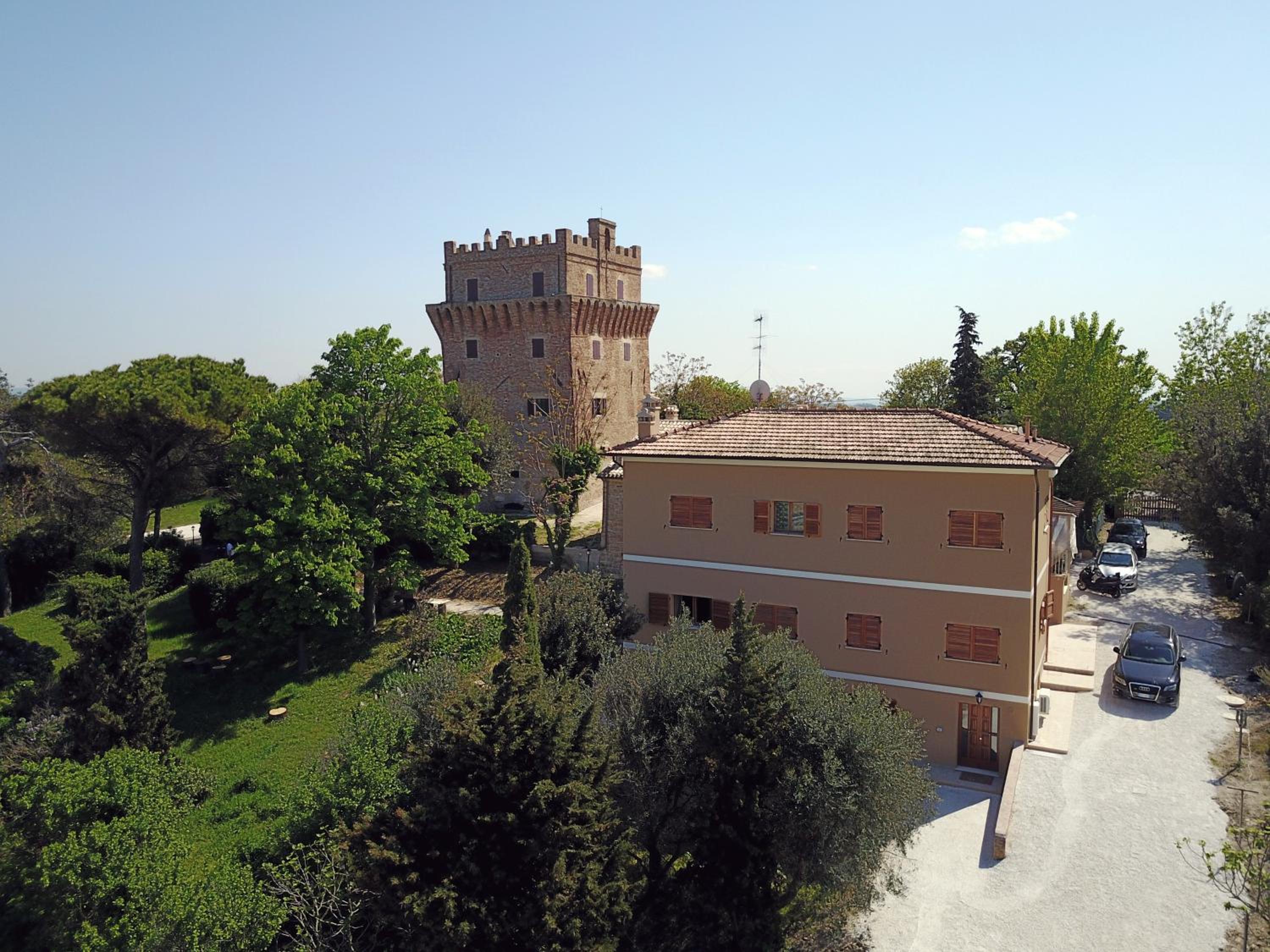 Photo 15