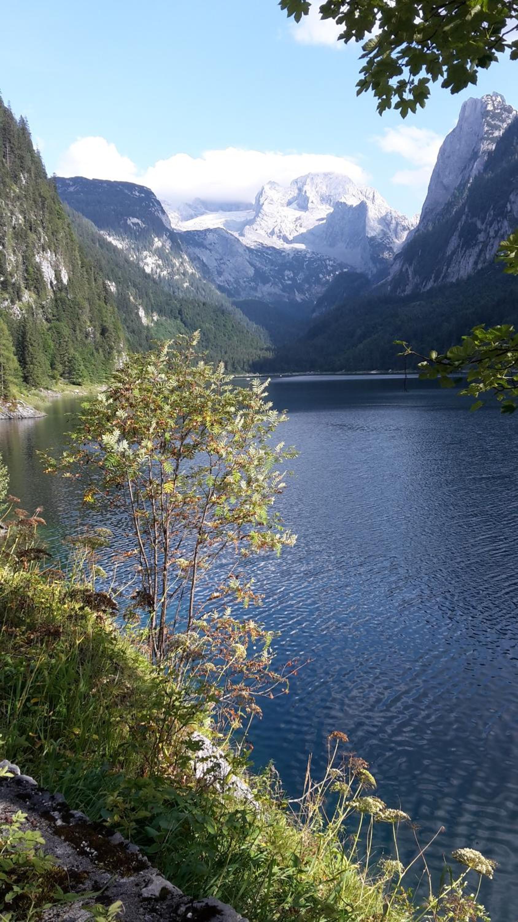 Landhaus Schwaighofer Dachstein West