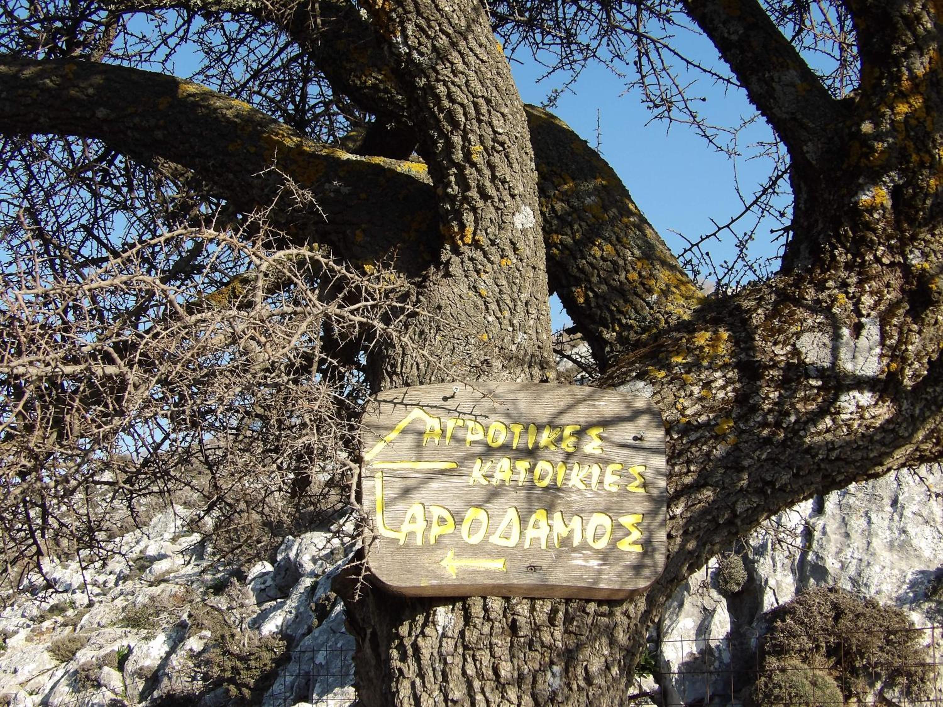 Photo 29