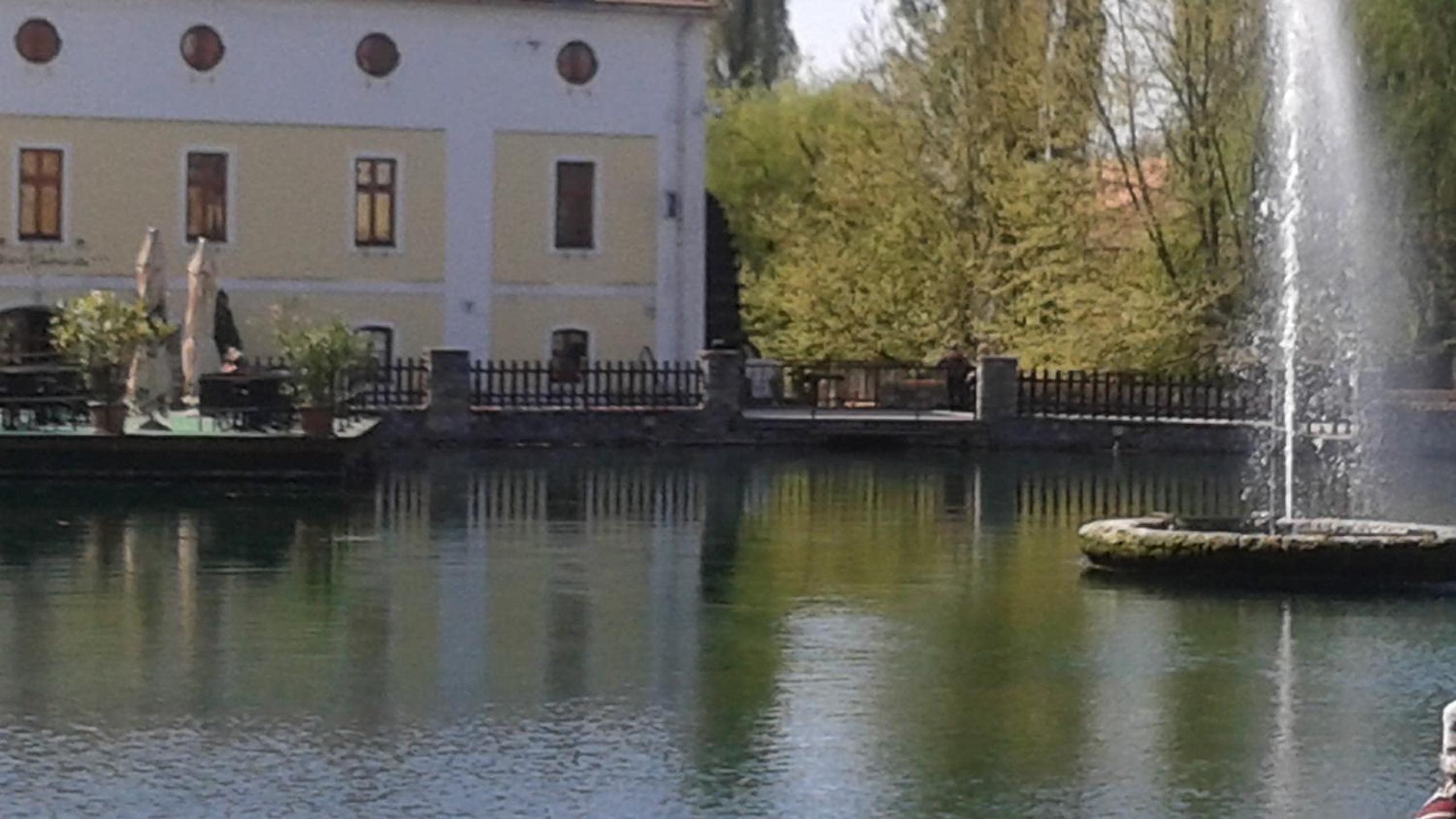 Photo 17