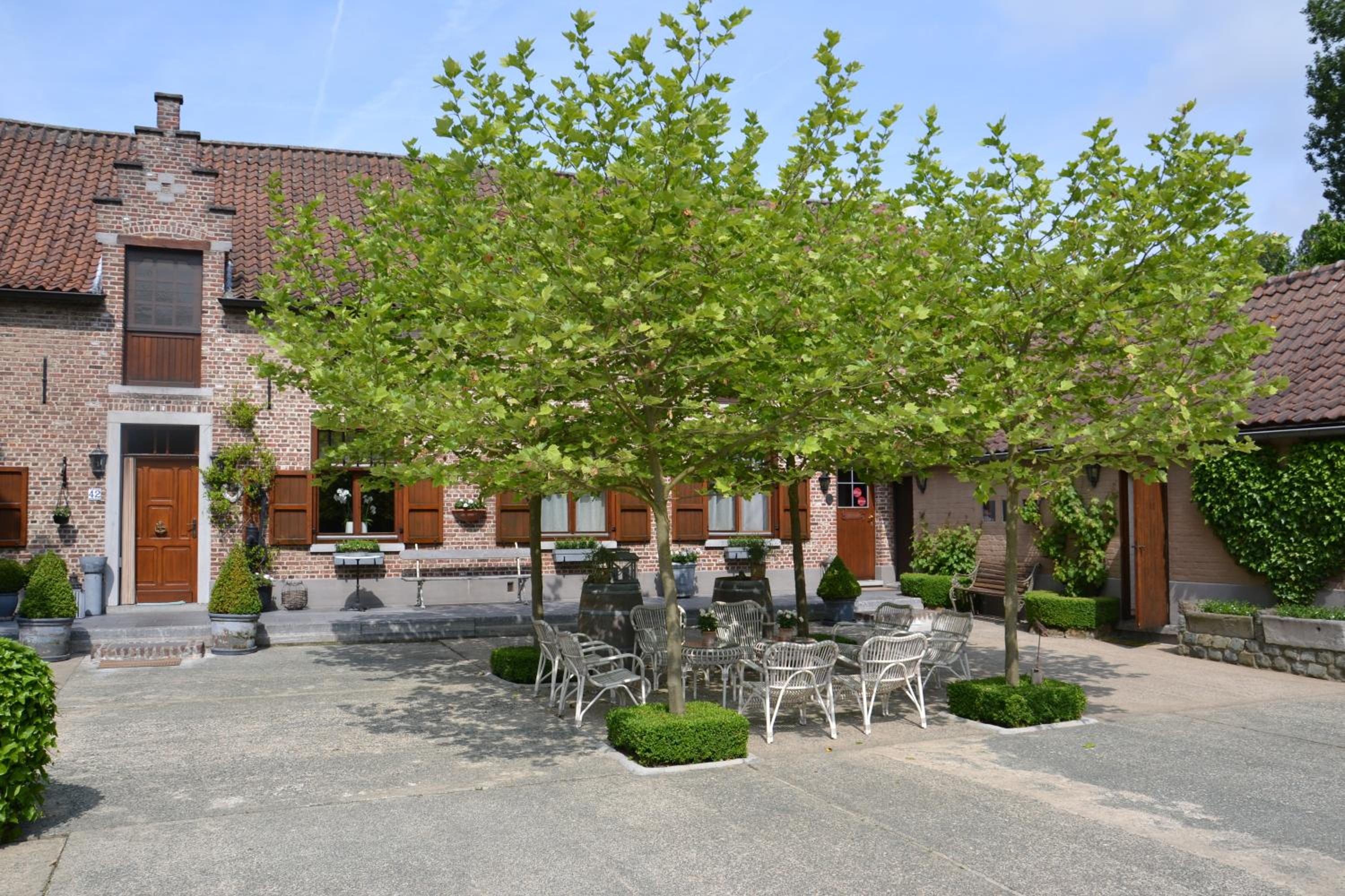 B&B Hof te Spieringen