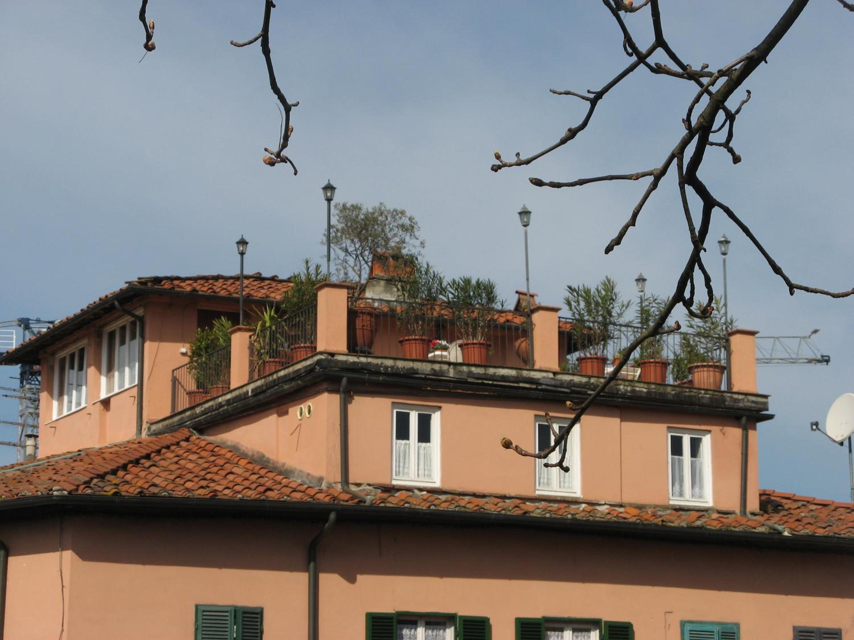 roof