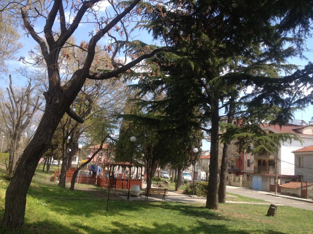 Emona Apartment
