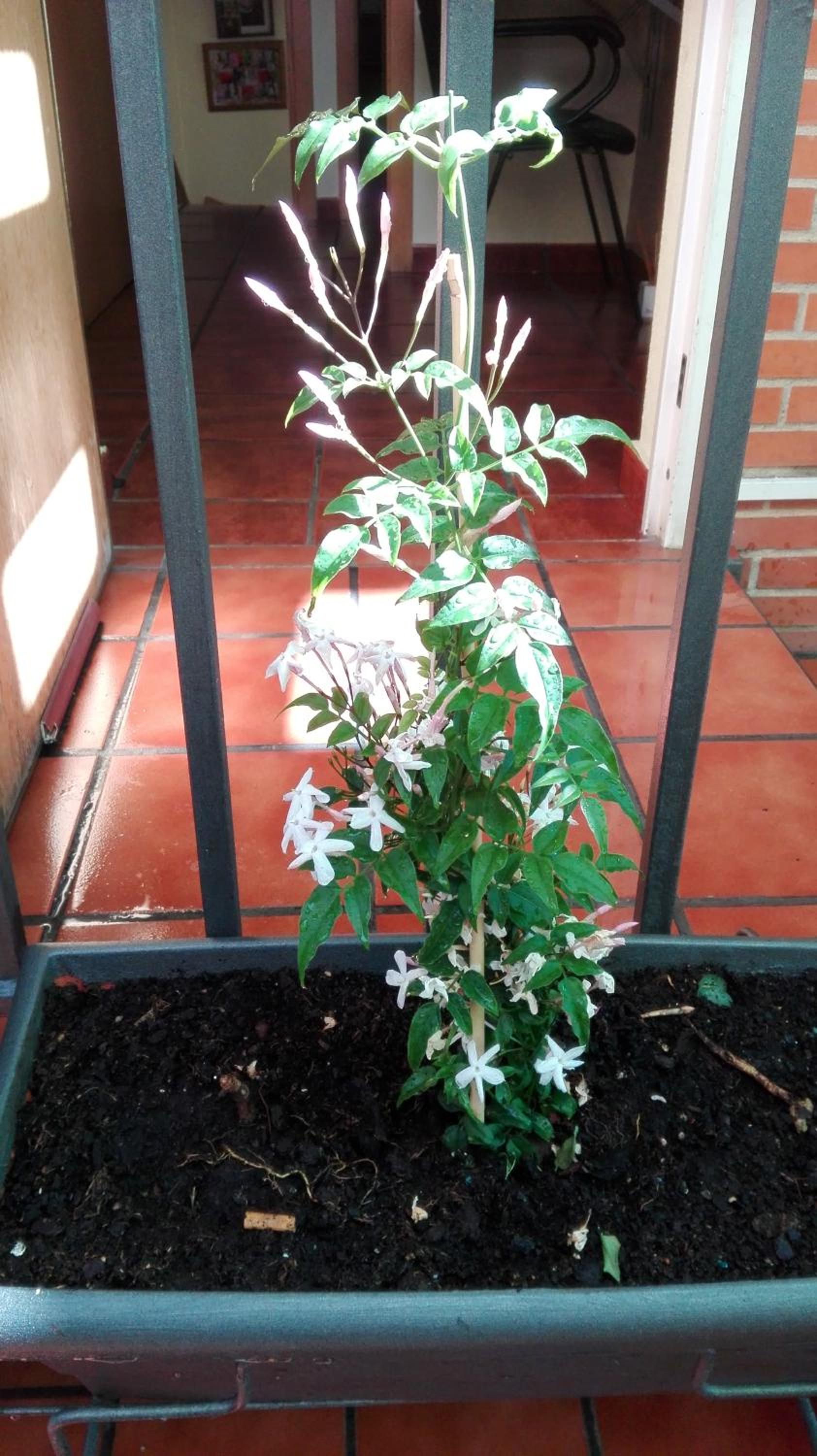 Photo 23