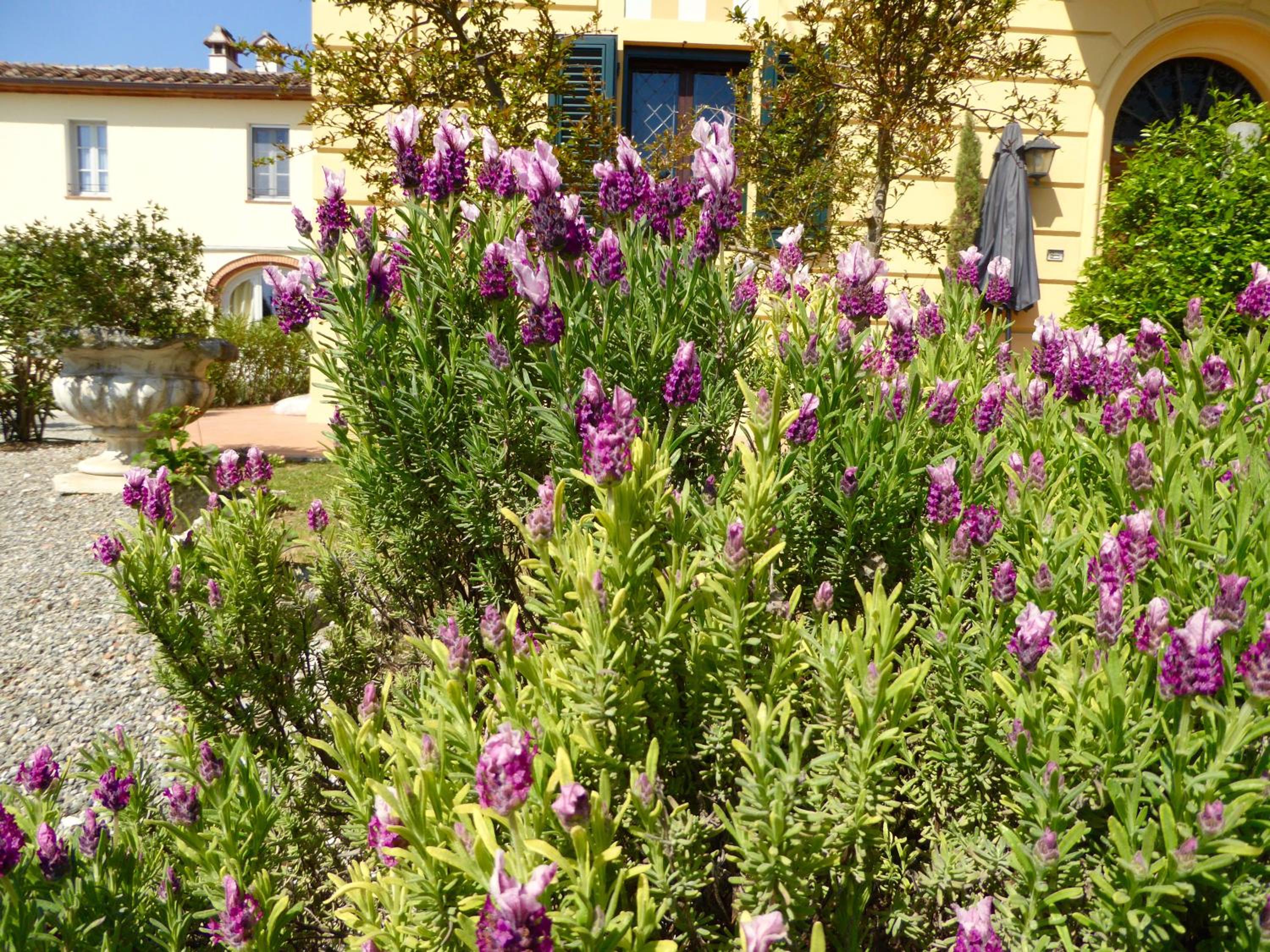 Photo 18