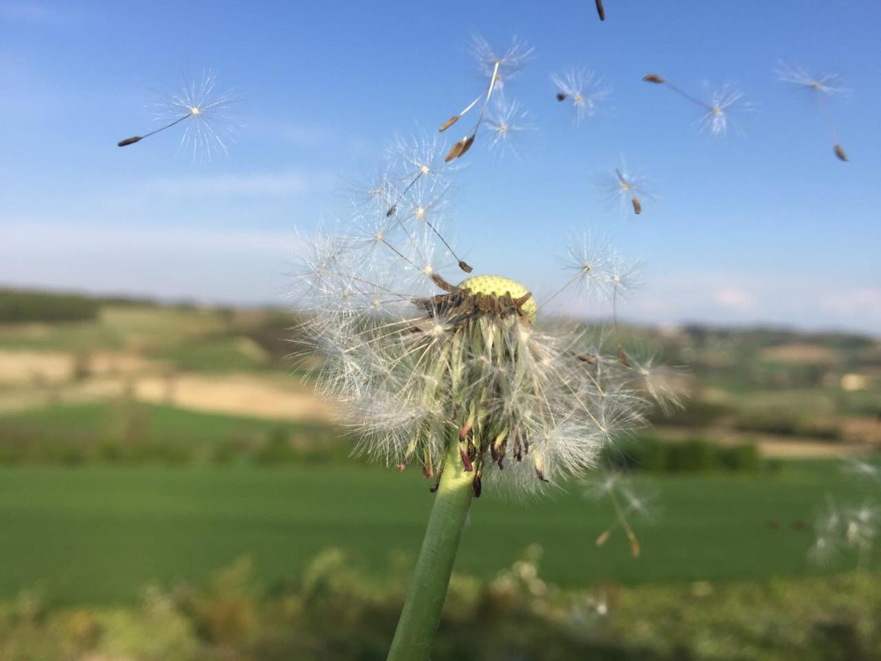 Cascina Vicentini