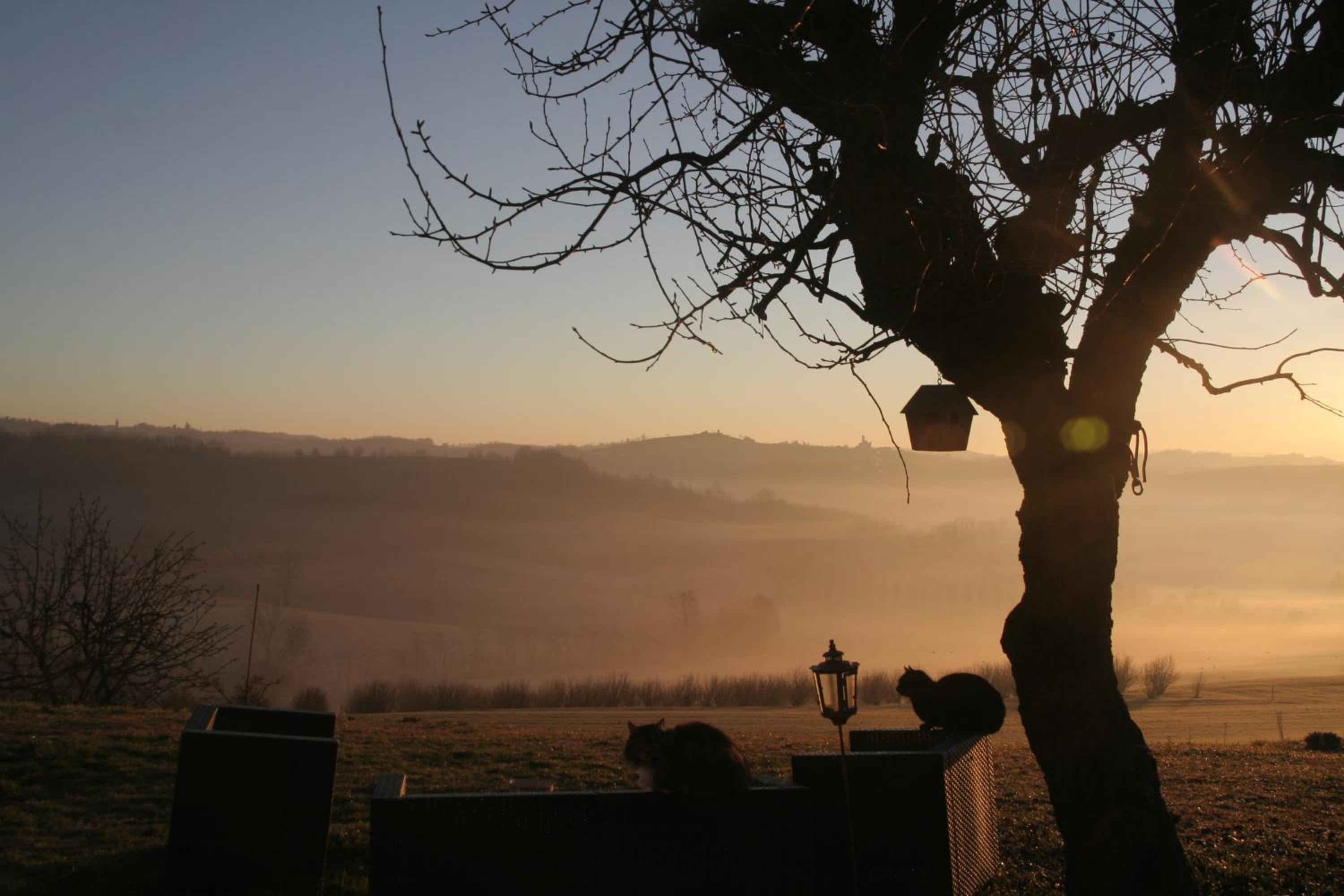 Cascina Vicentini