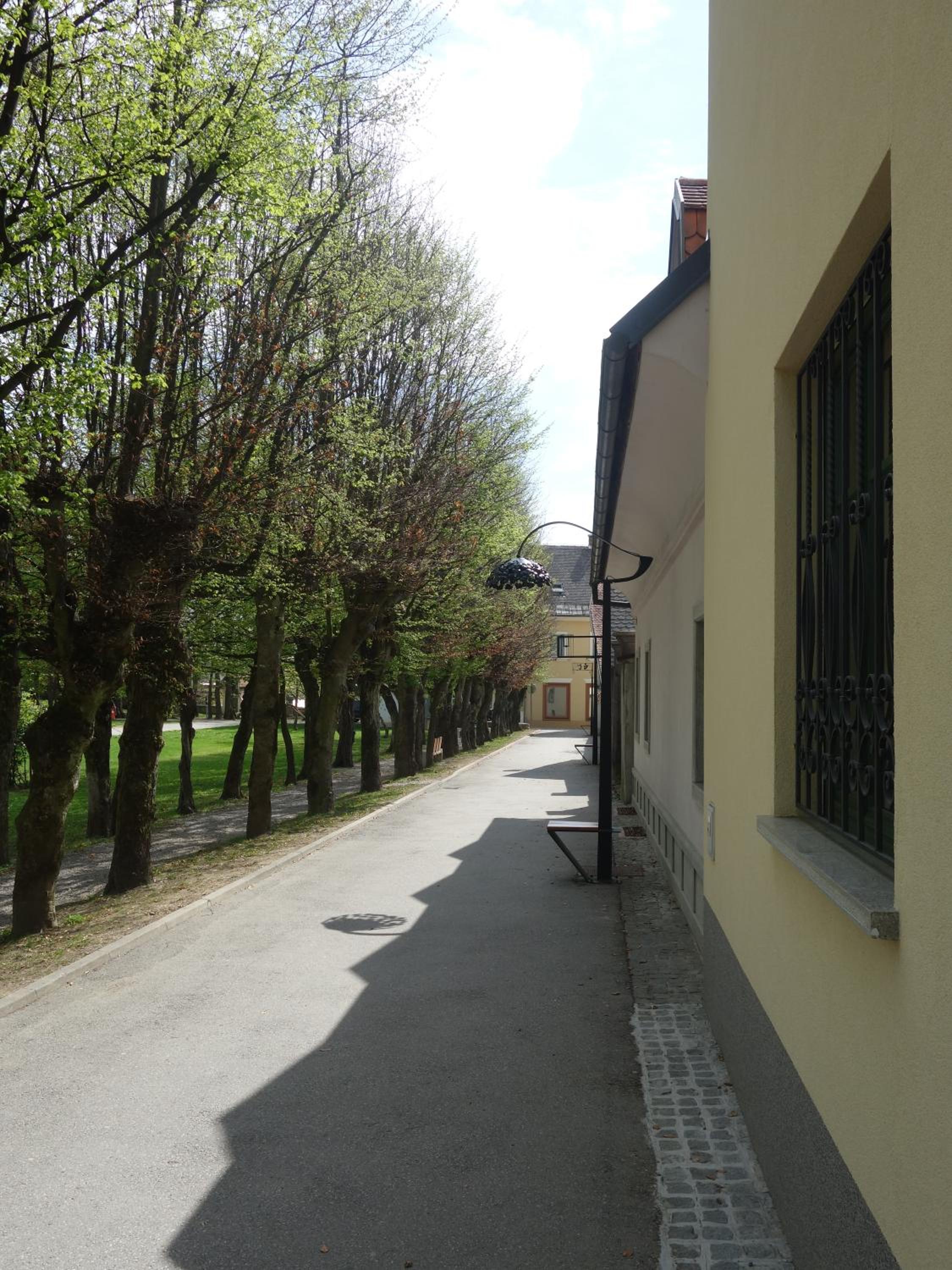 Photo 49