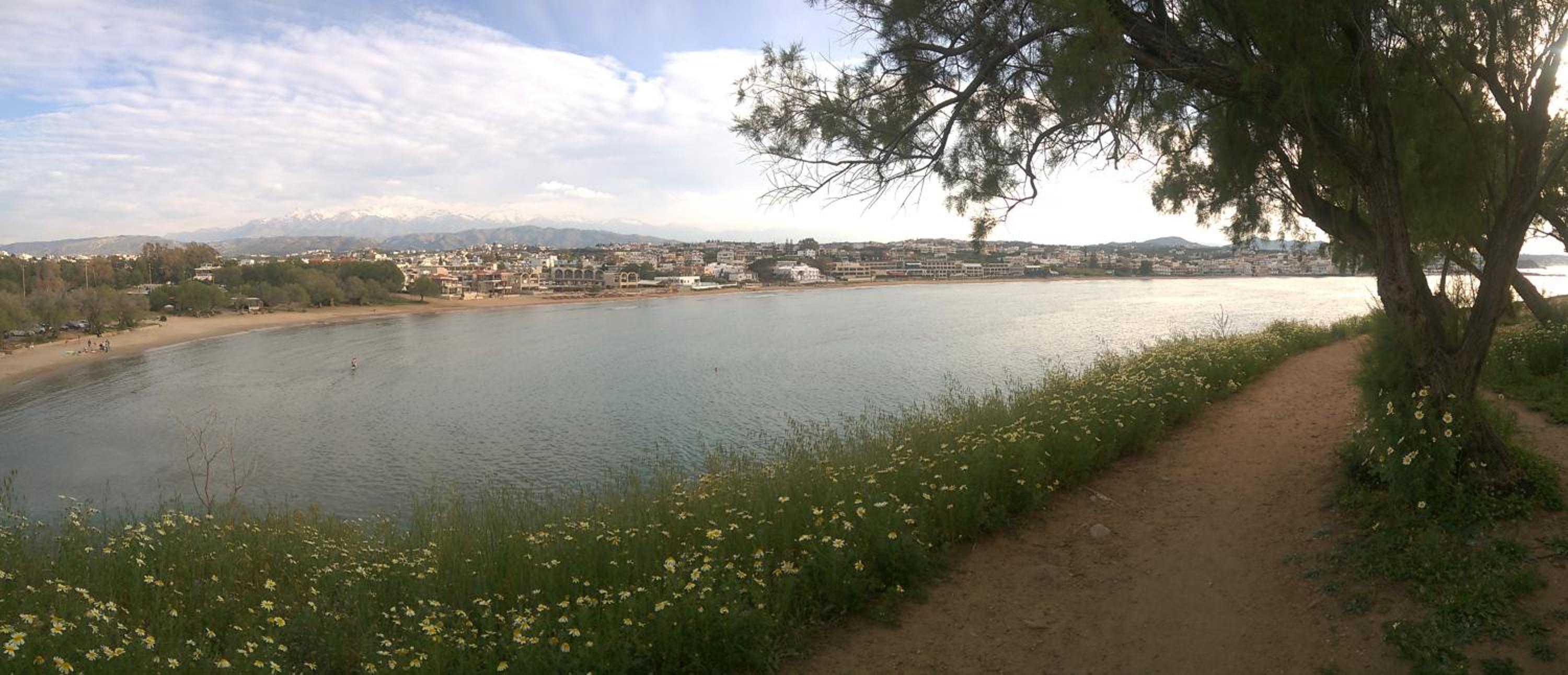 Zinovia