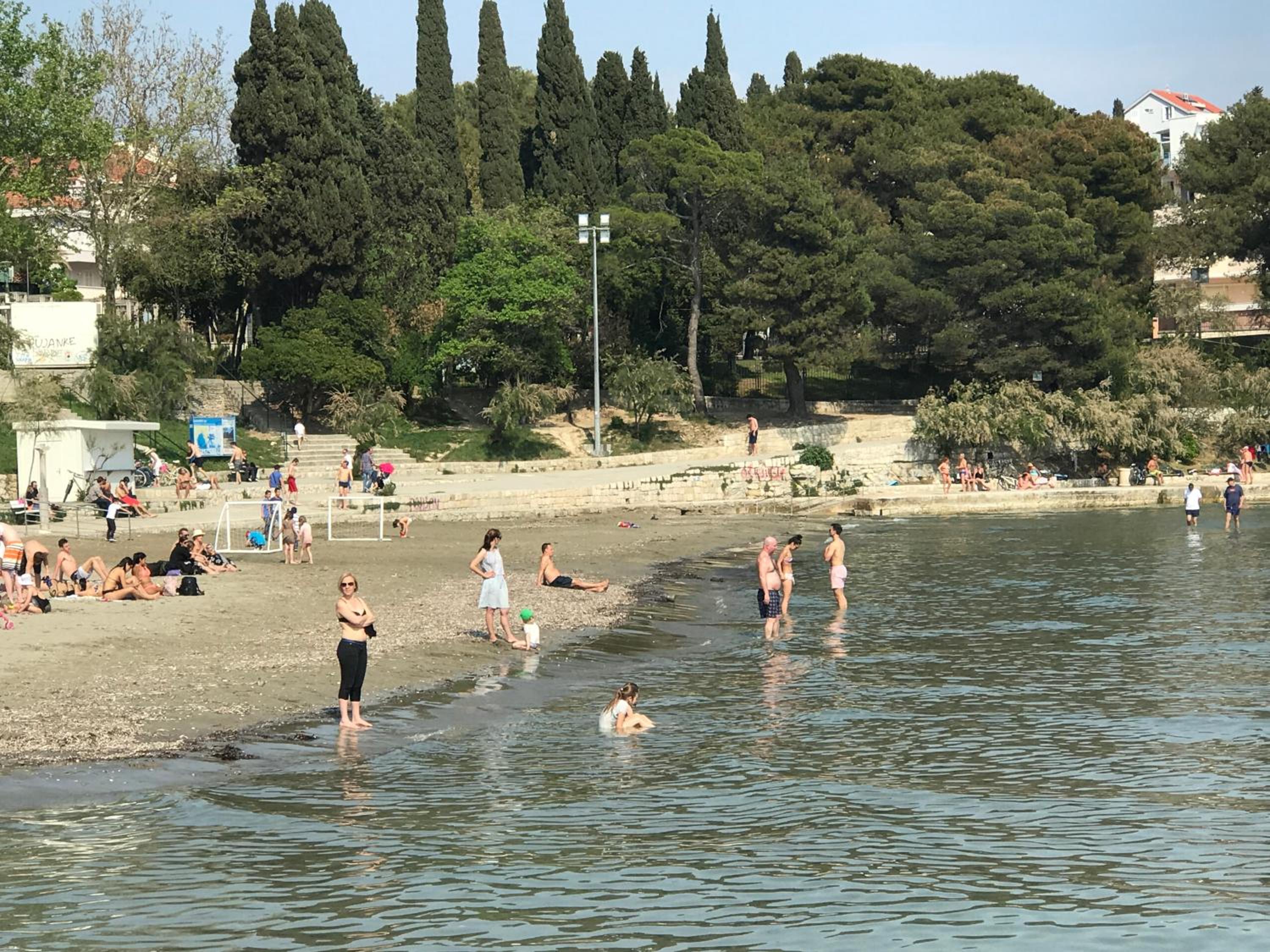 Photo 41