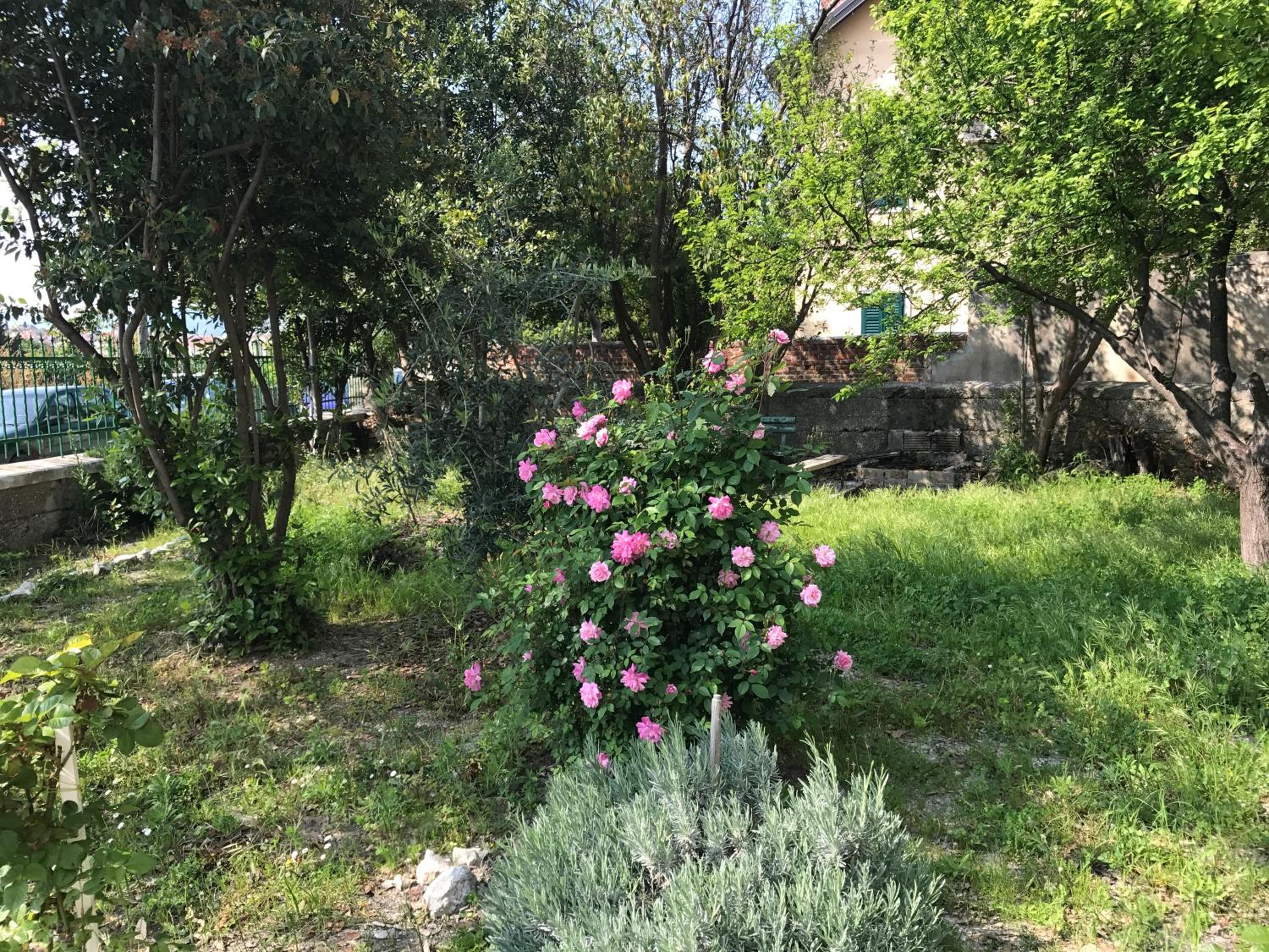 Photo 37
