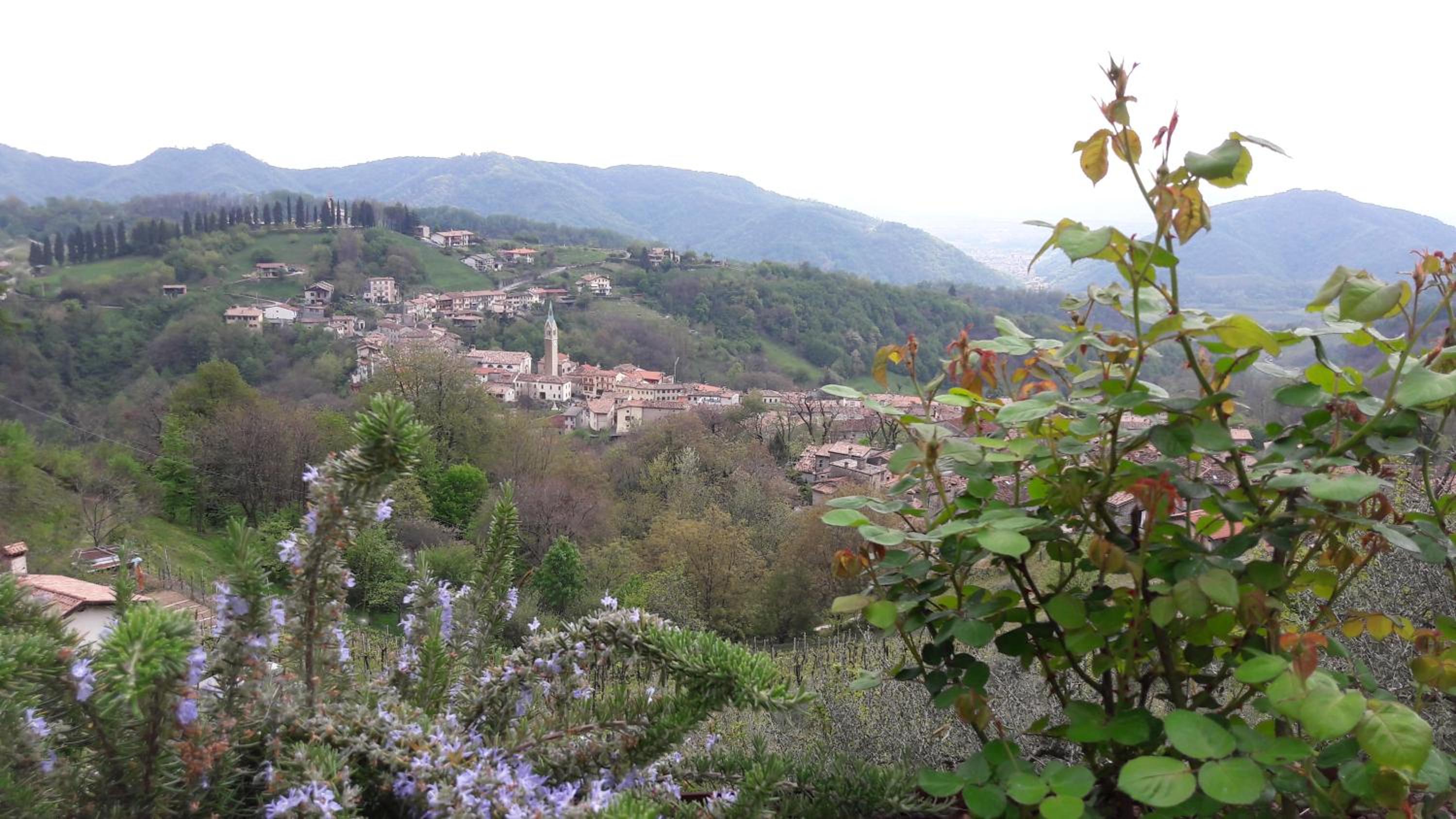 Photo 42