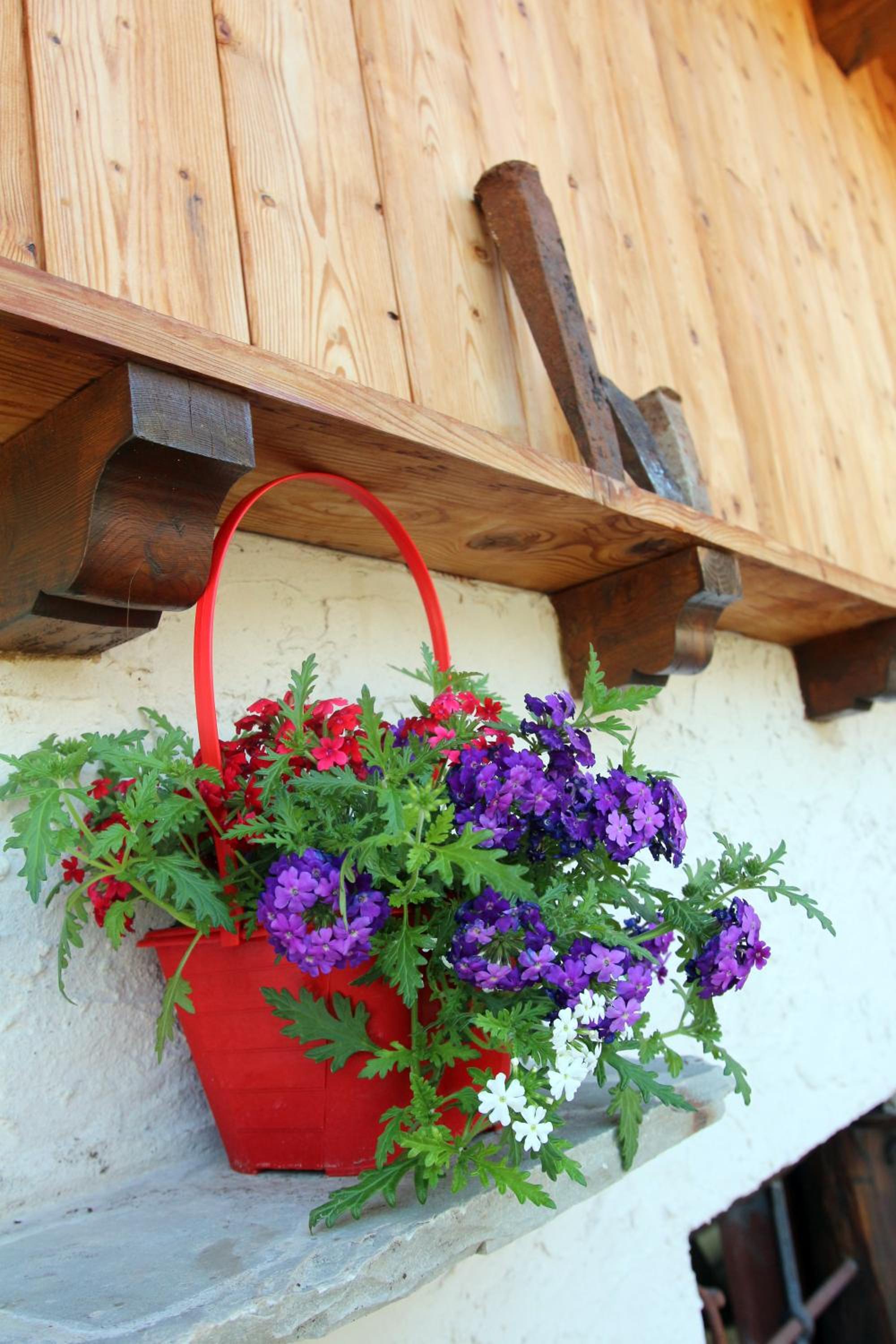 Photo 46