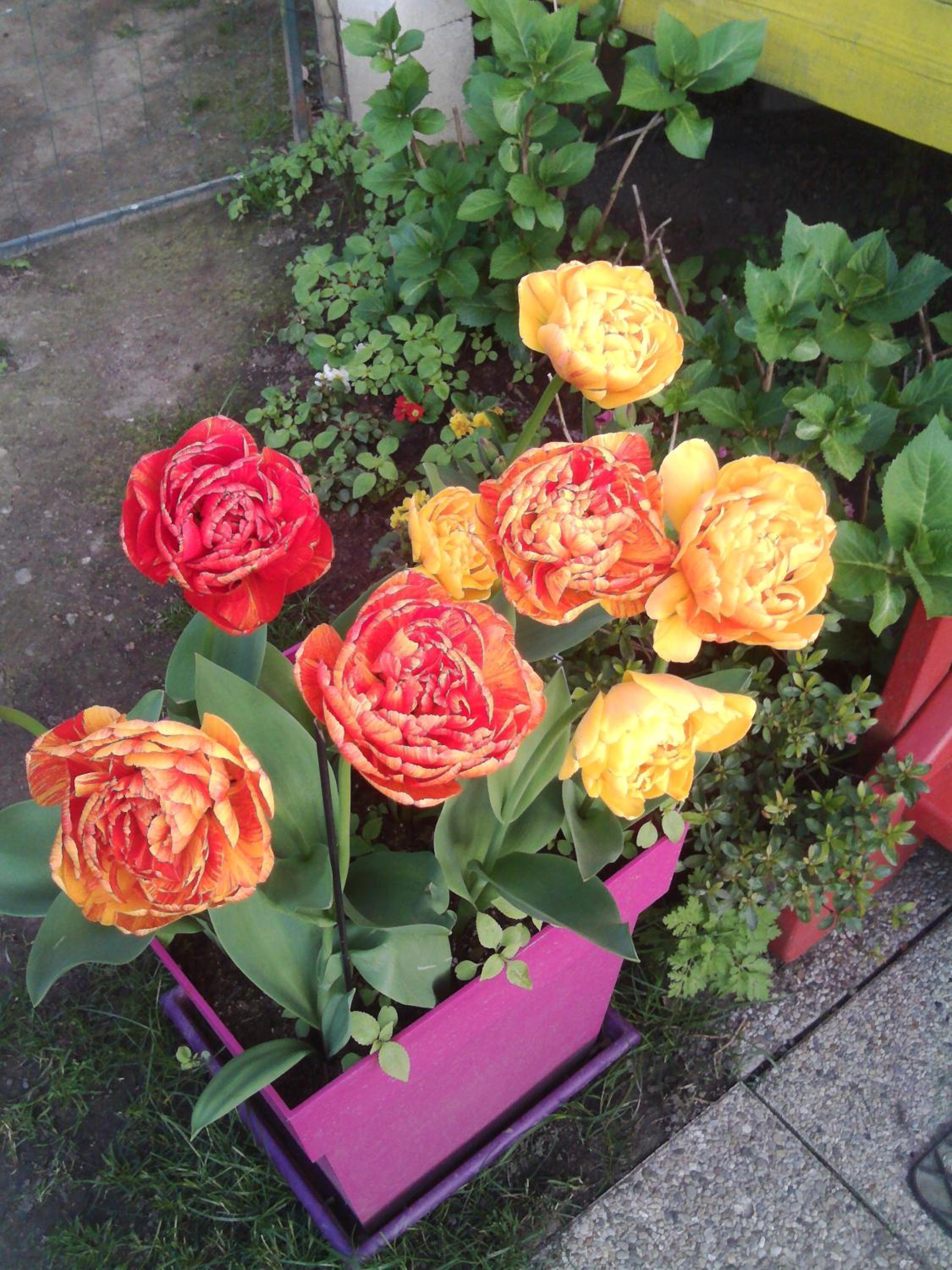 Photo 13