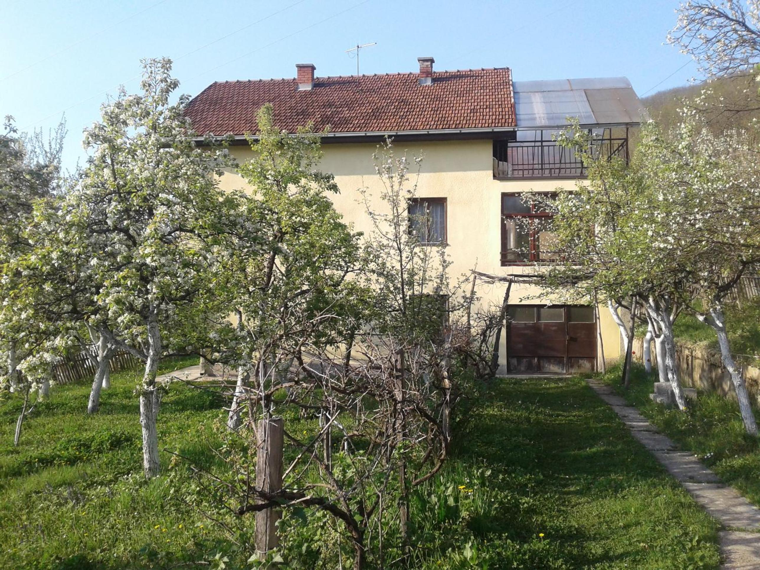 Photo 45