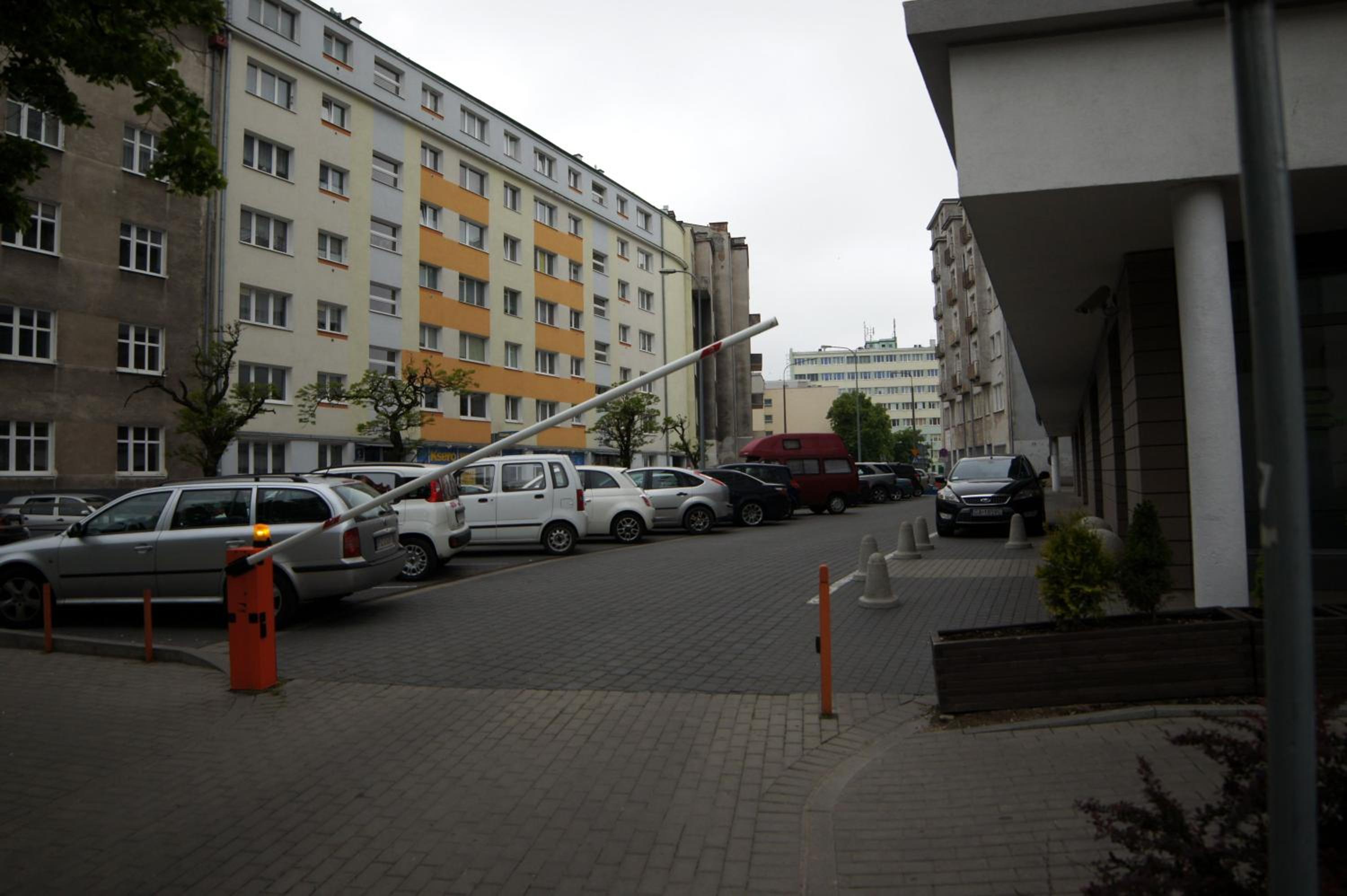 Photo 6