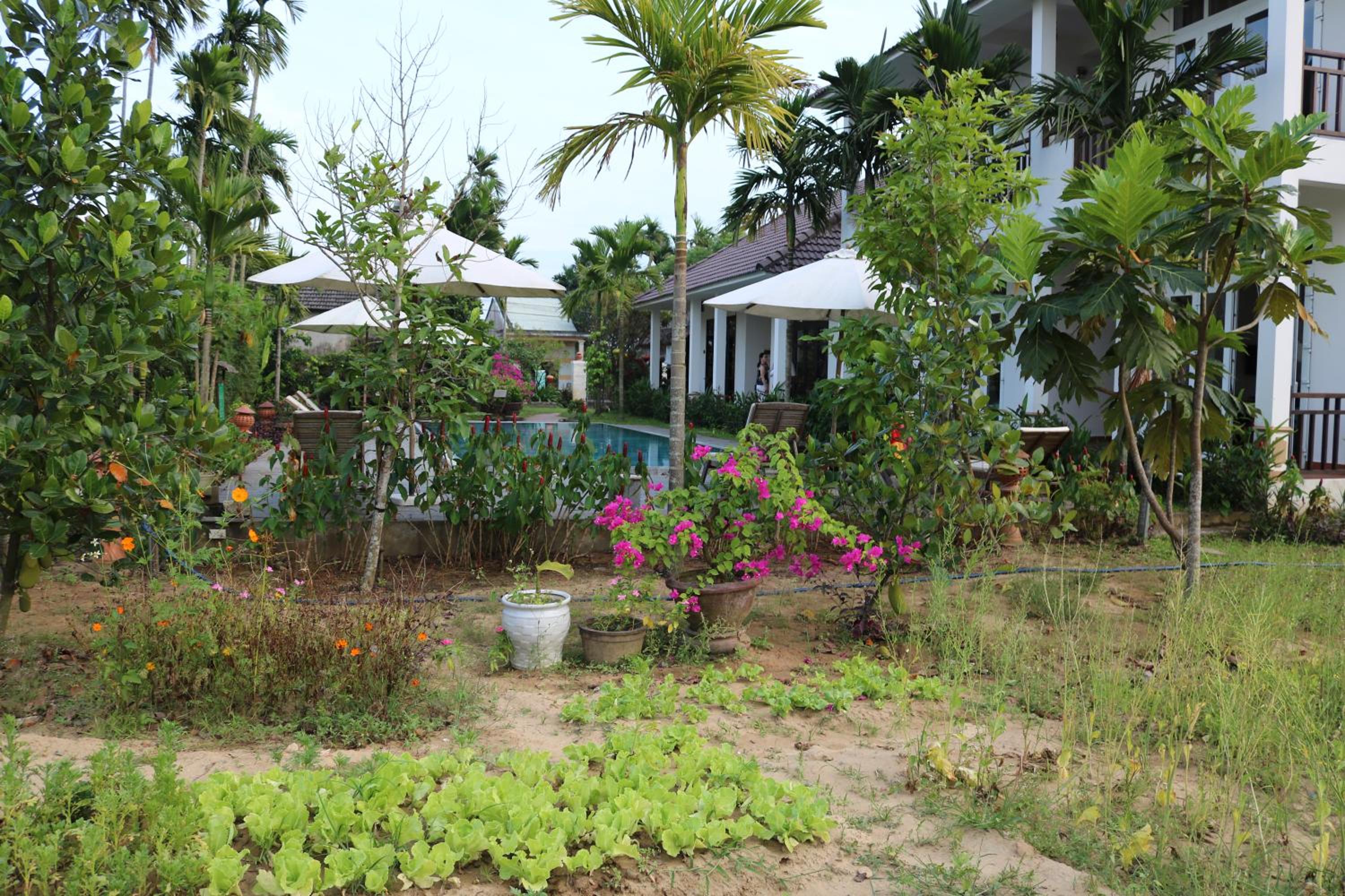Green Areca villa