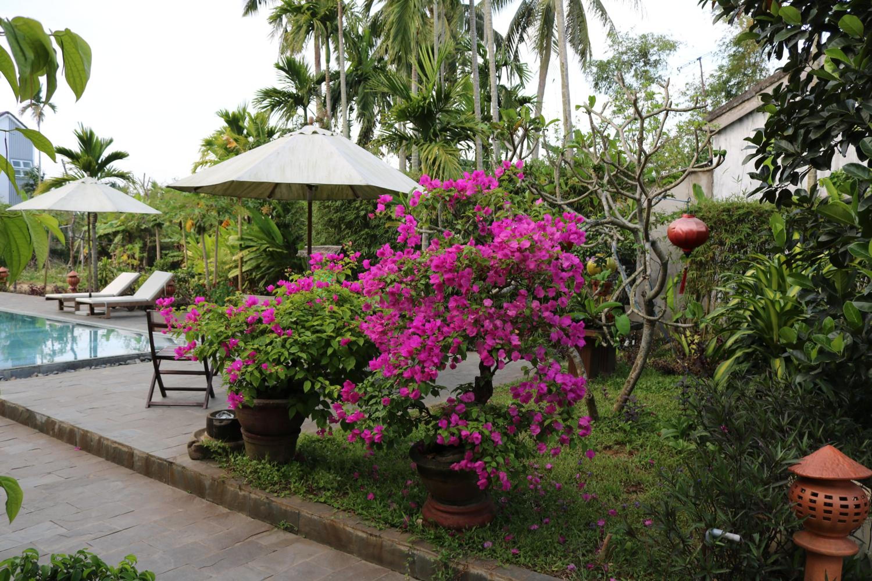 Green Areca villa