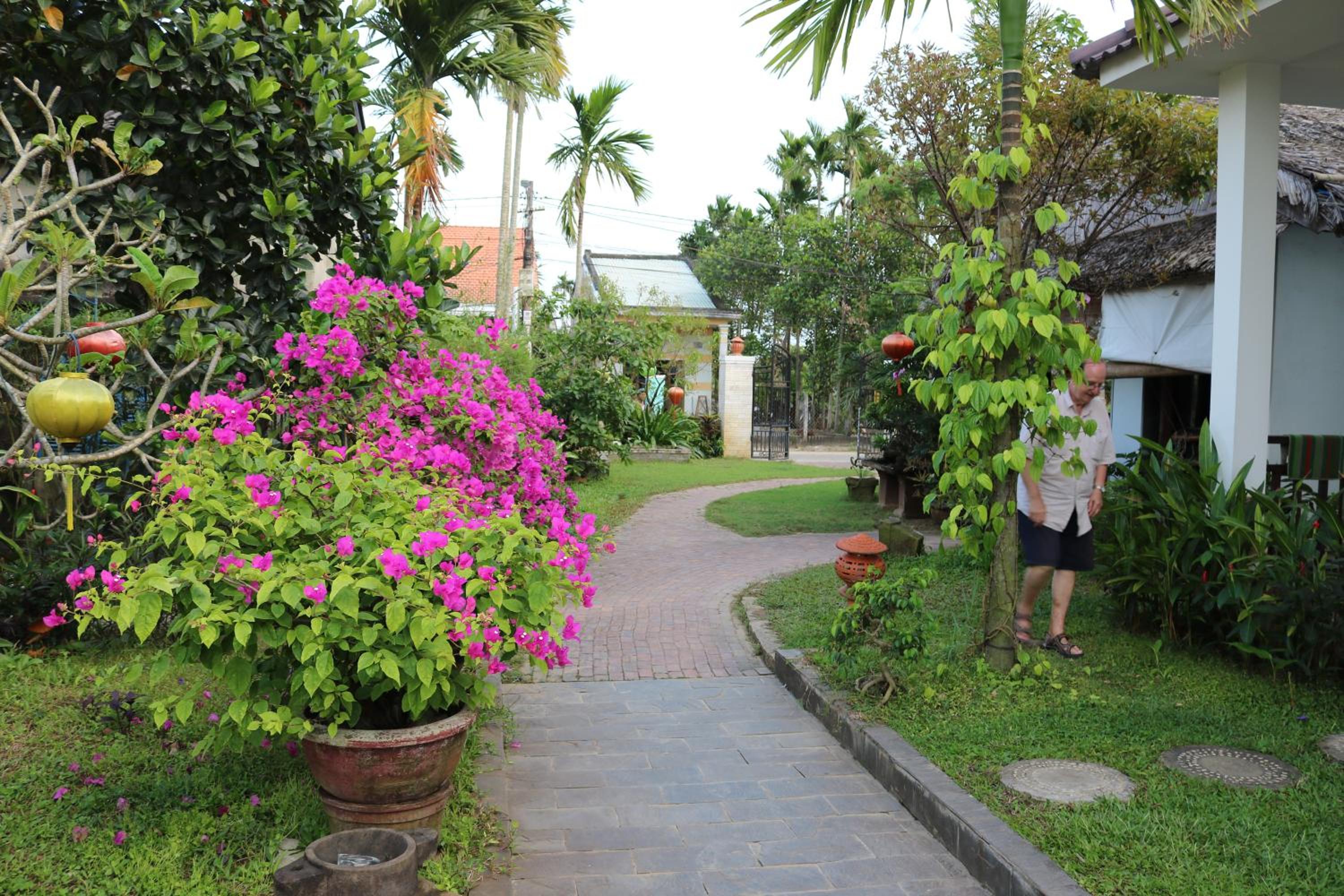 Green Areca villa