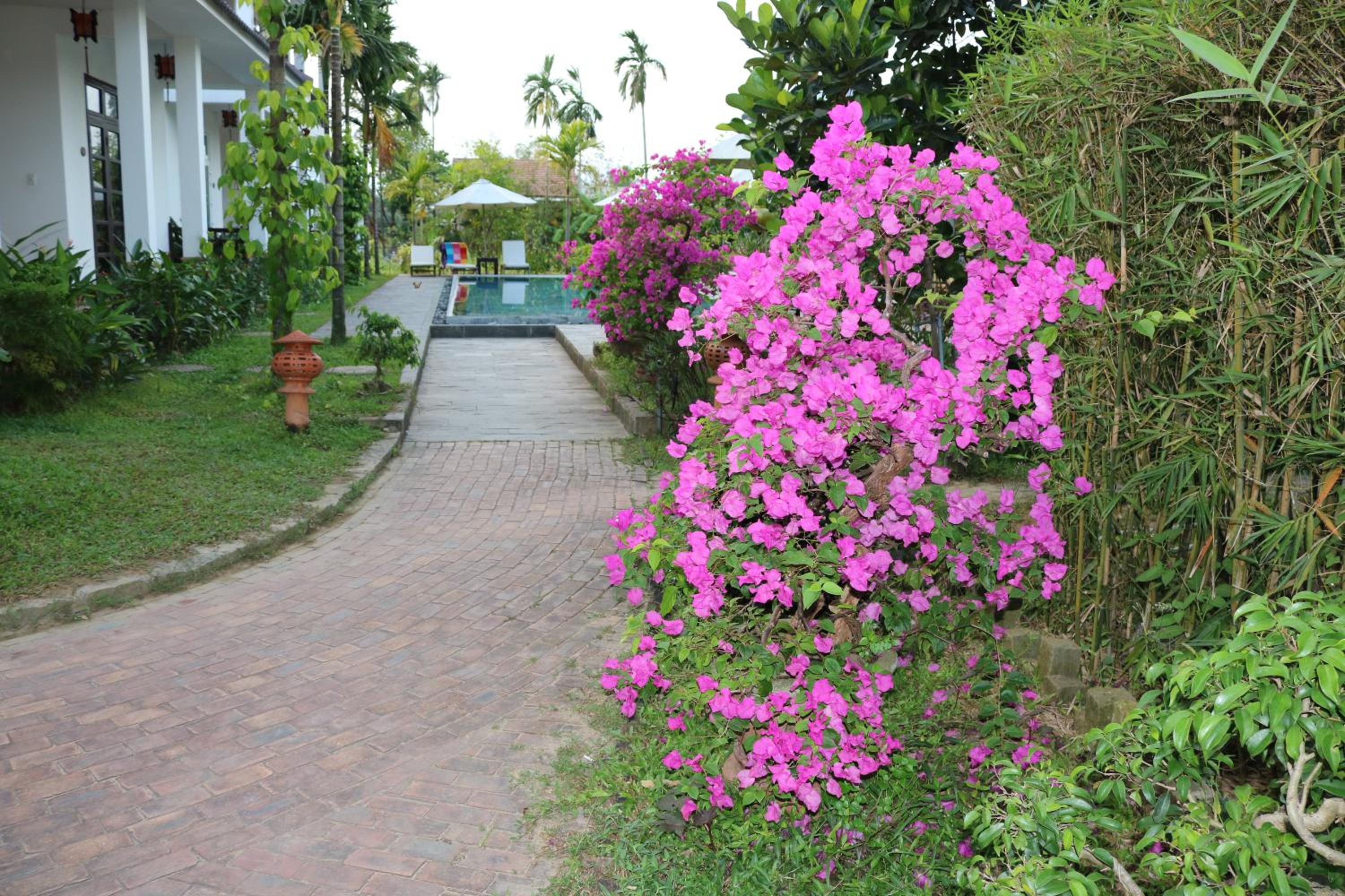 Green Areca villa