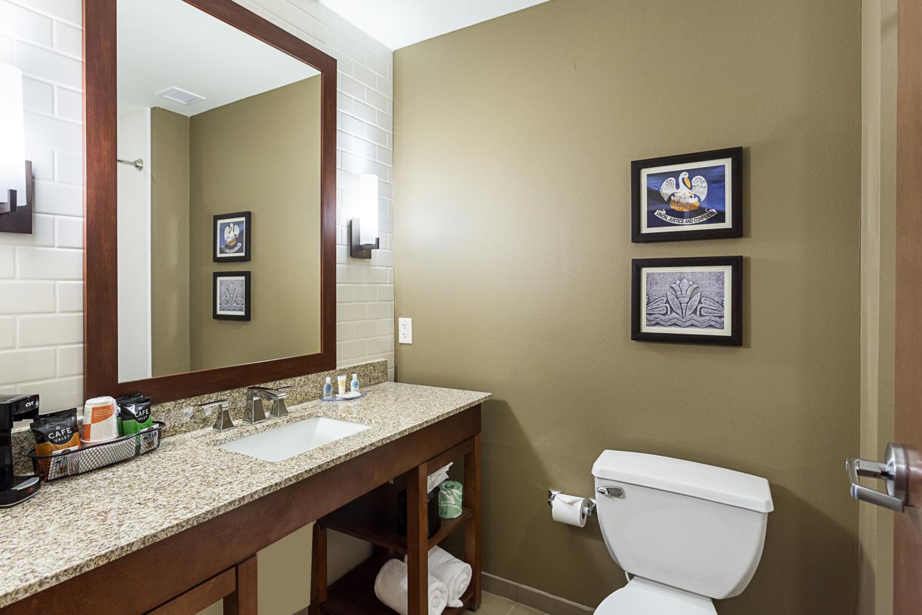 Comfort Inn & Suites Zachary