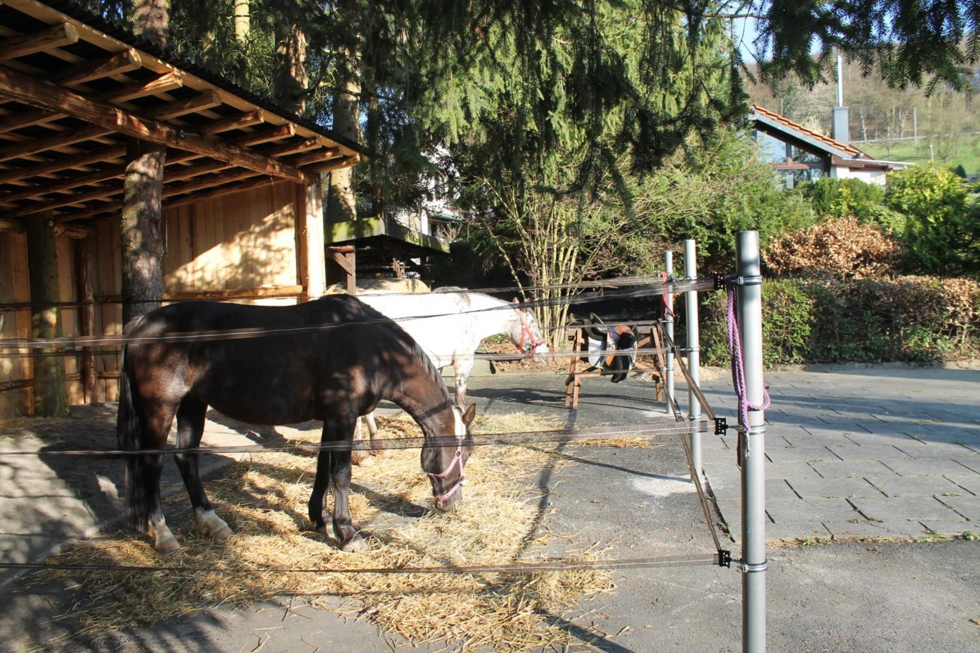 Ferienhaus 
