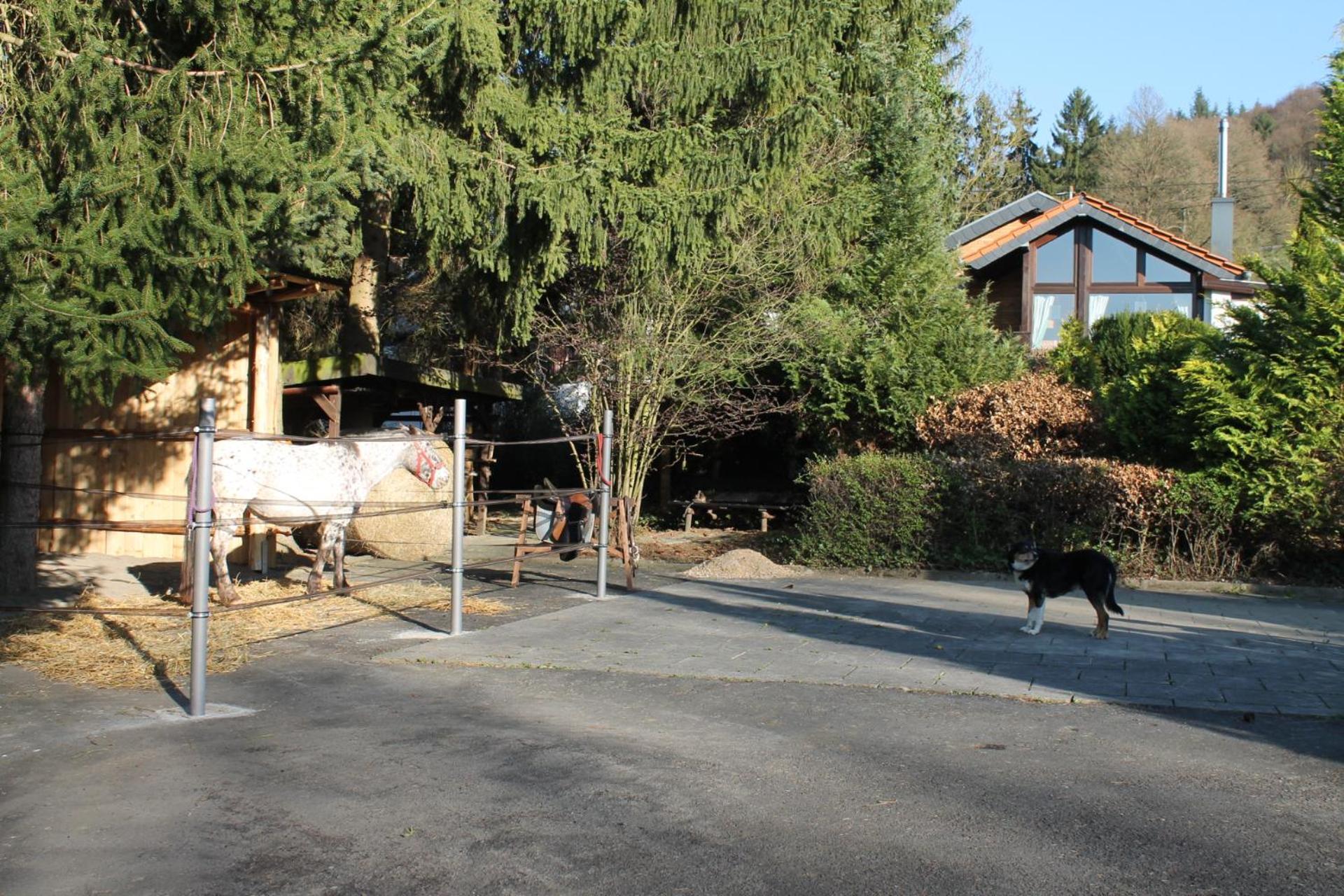 Ferienhaus 