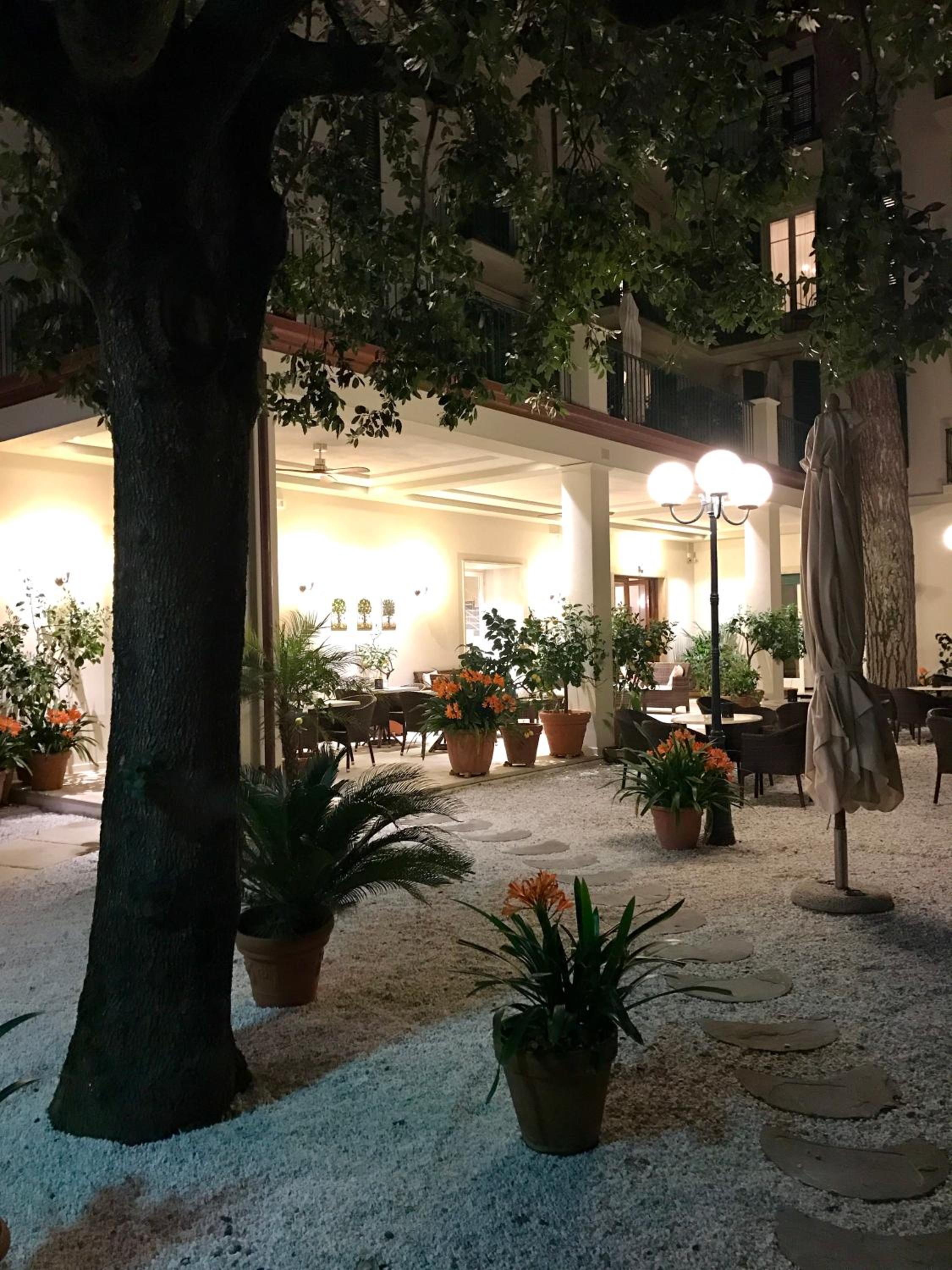 Hotel La Primula, photo 65