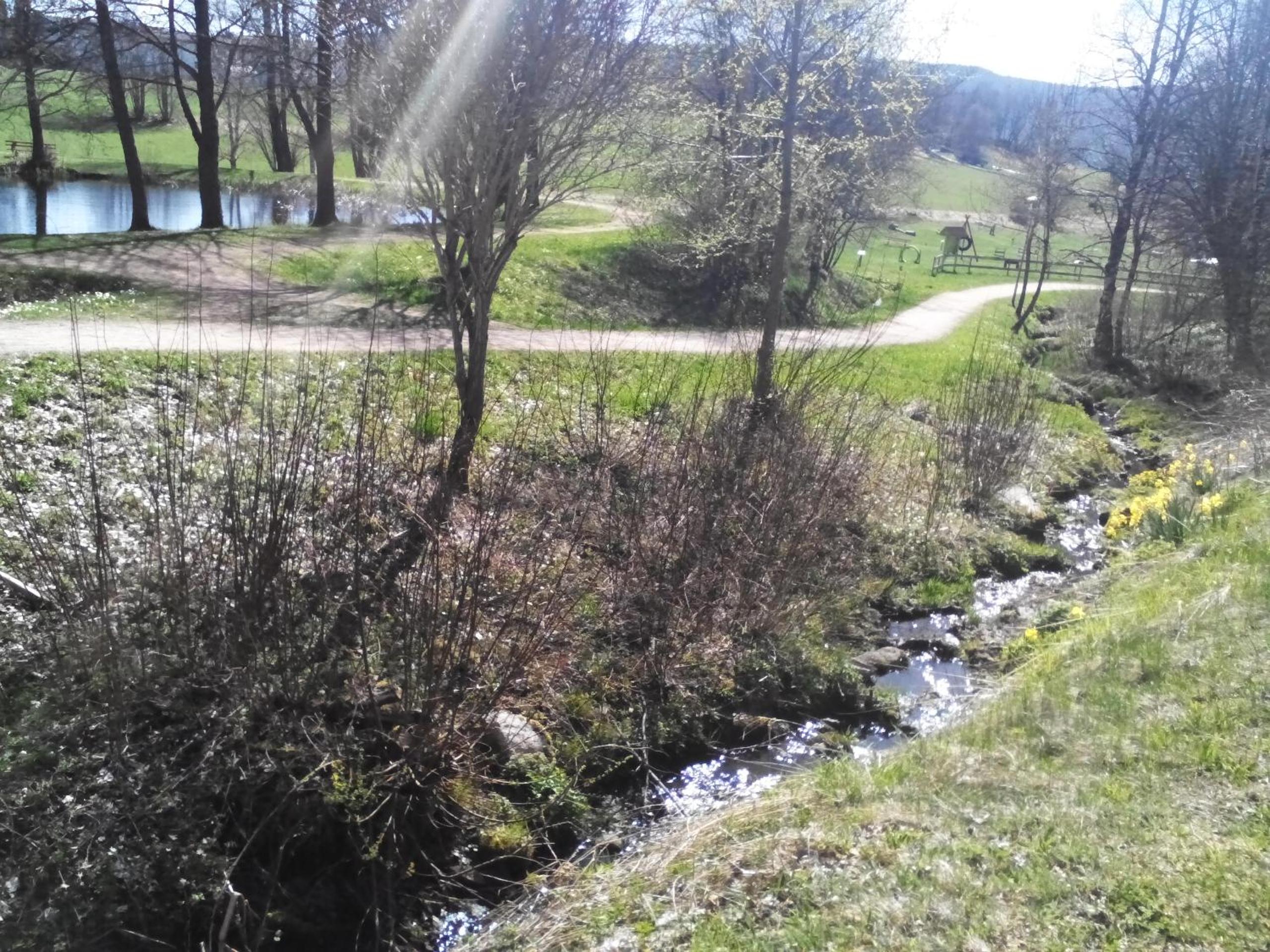 Apartment Schluchsee view 3