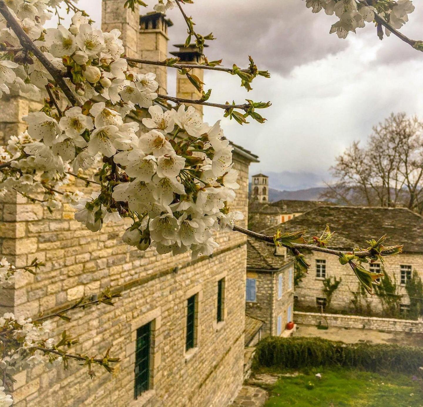 Hotel Gaia Guesthouse - Image 1