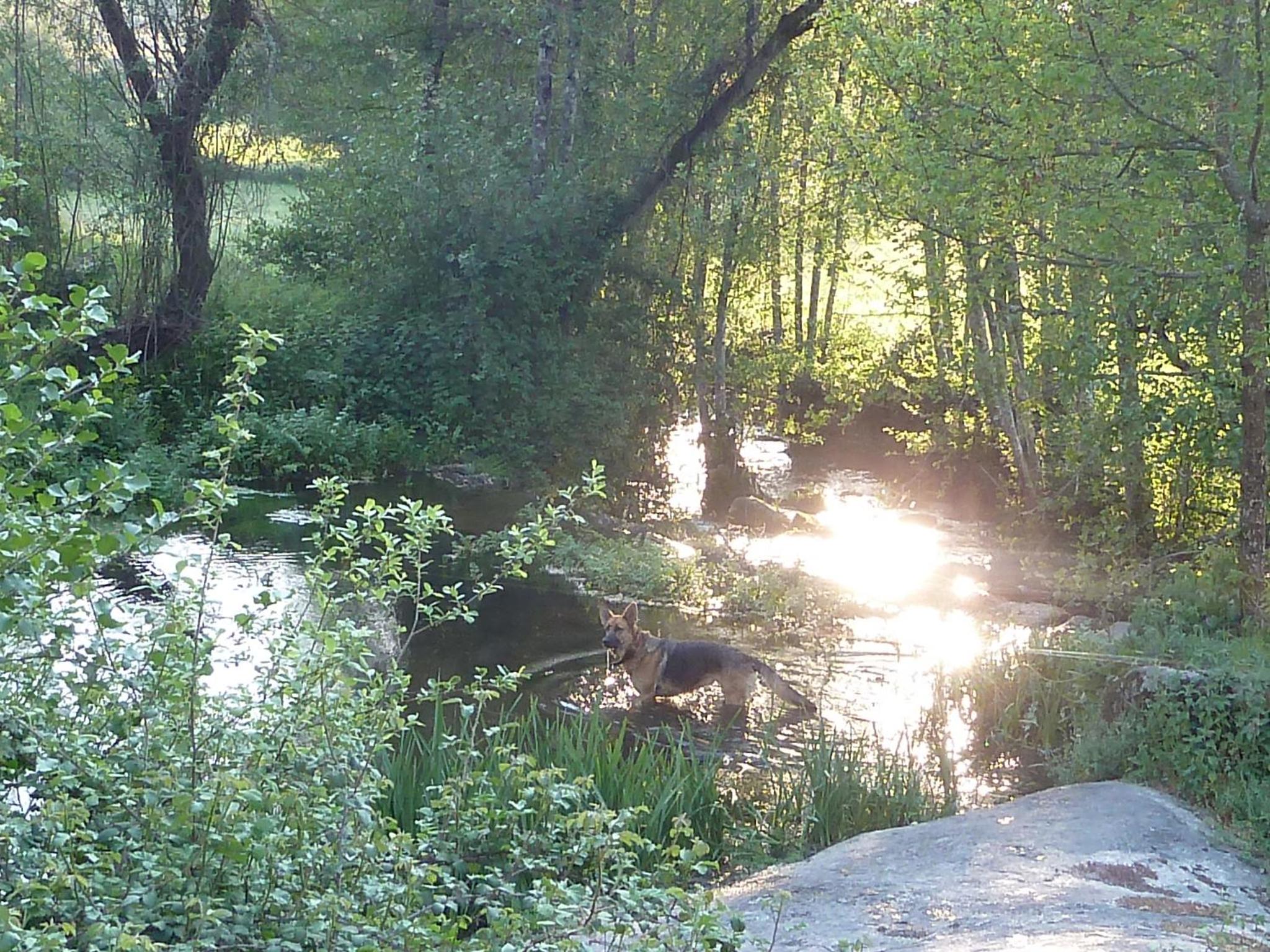 Photo 44