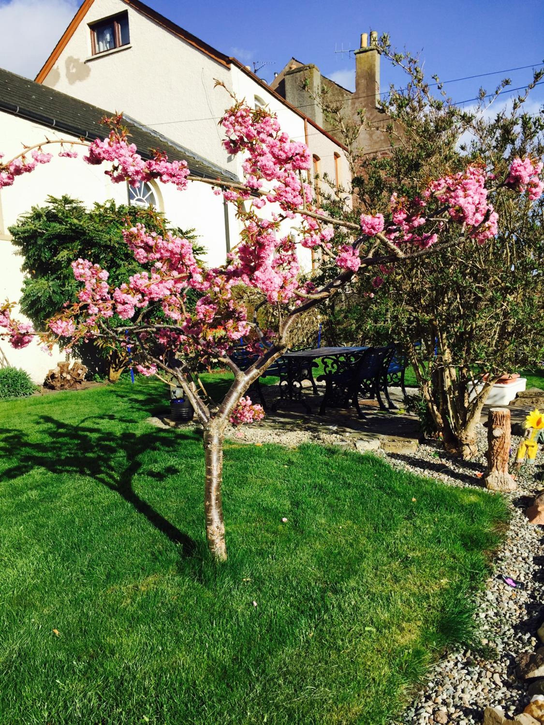 Honeybrook, photo 22