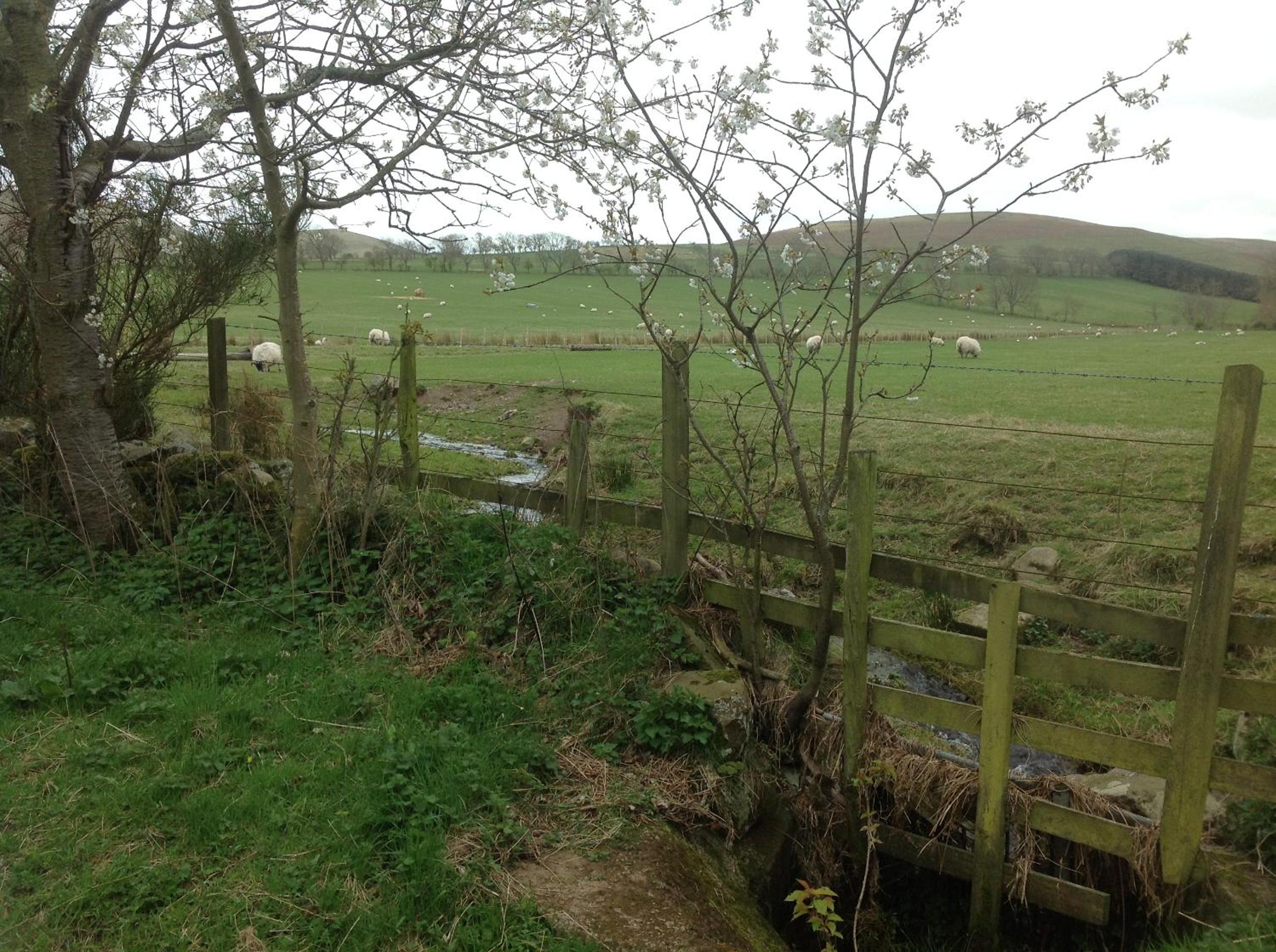 Photo 14
