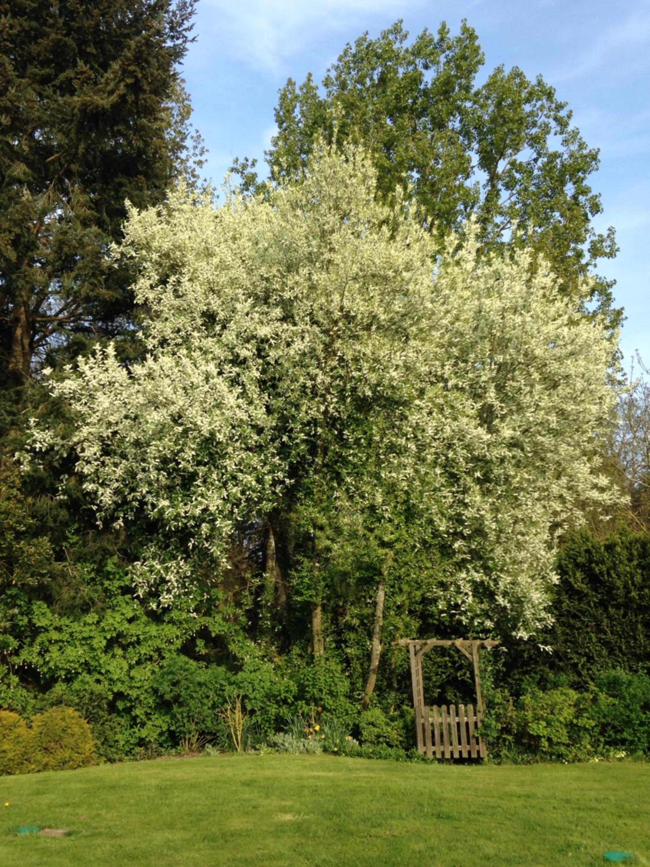 Photo 23