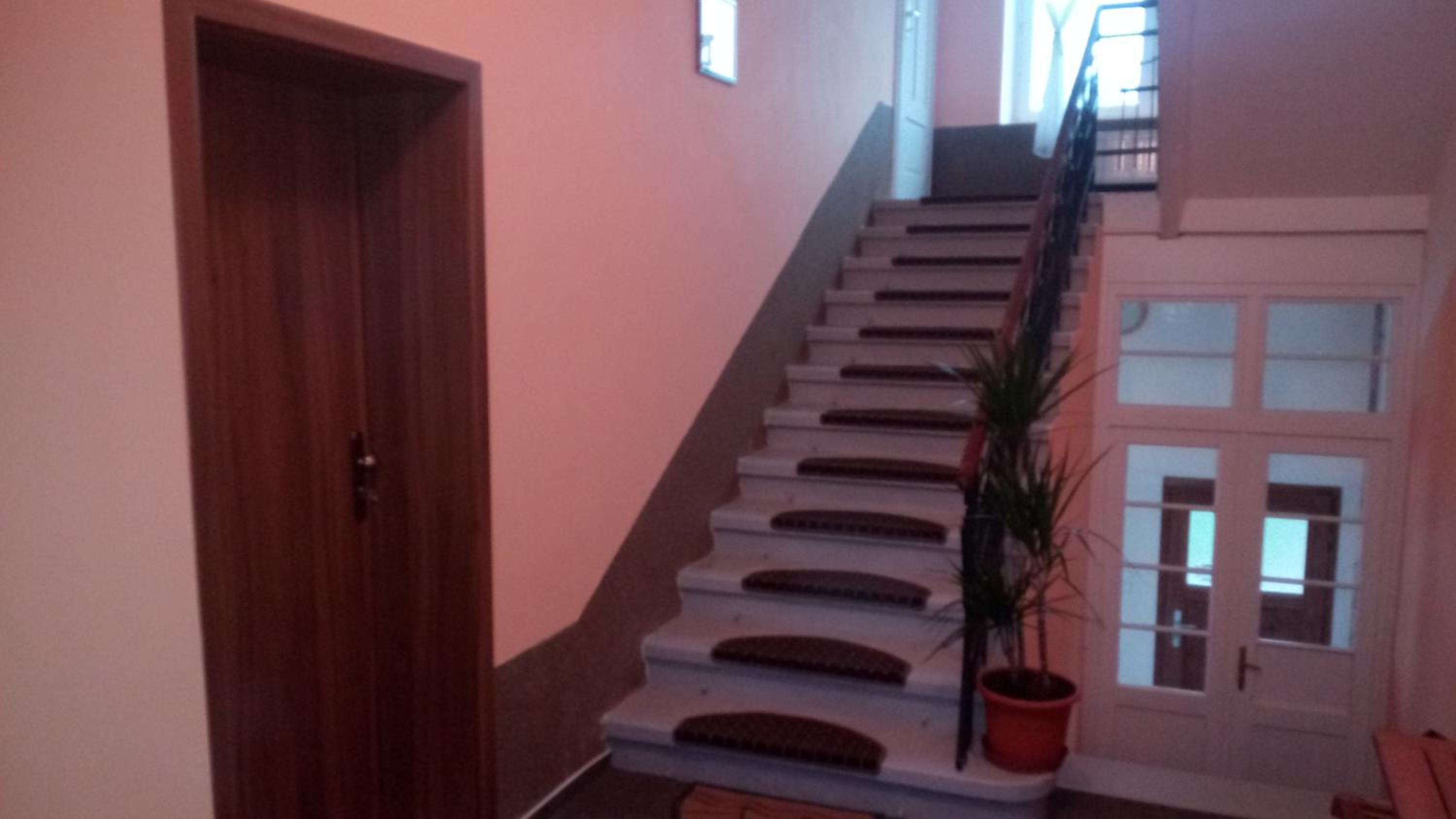 Apartmá Anglická