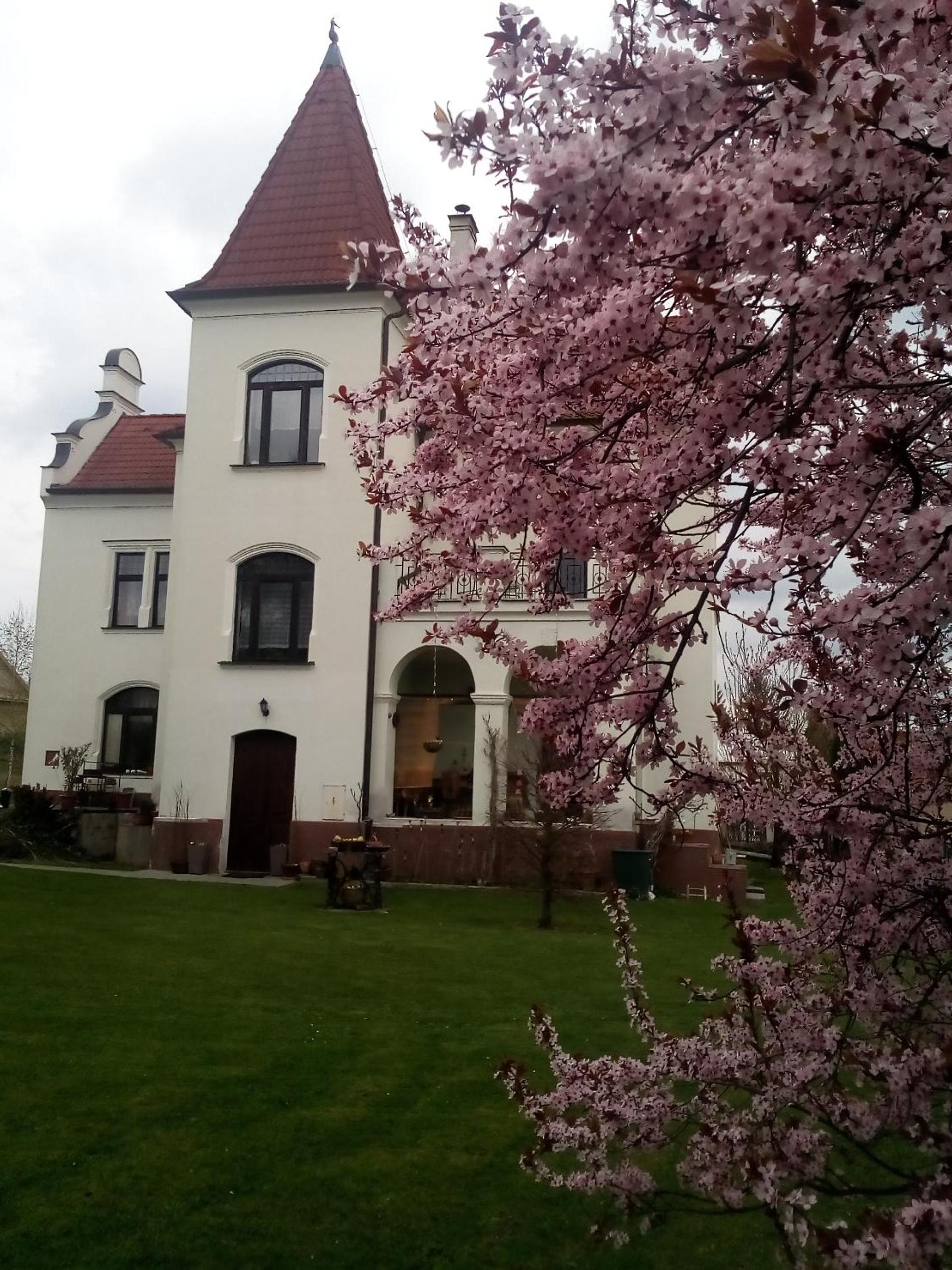 Villa Liduška s kavárnou