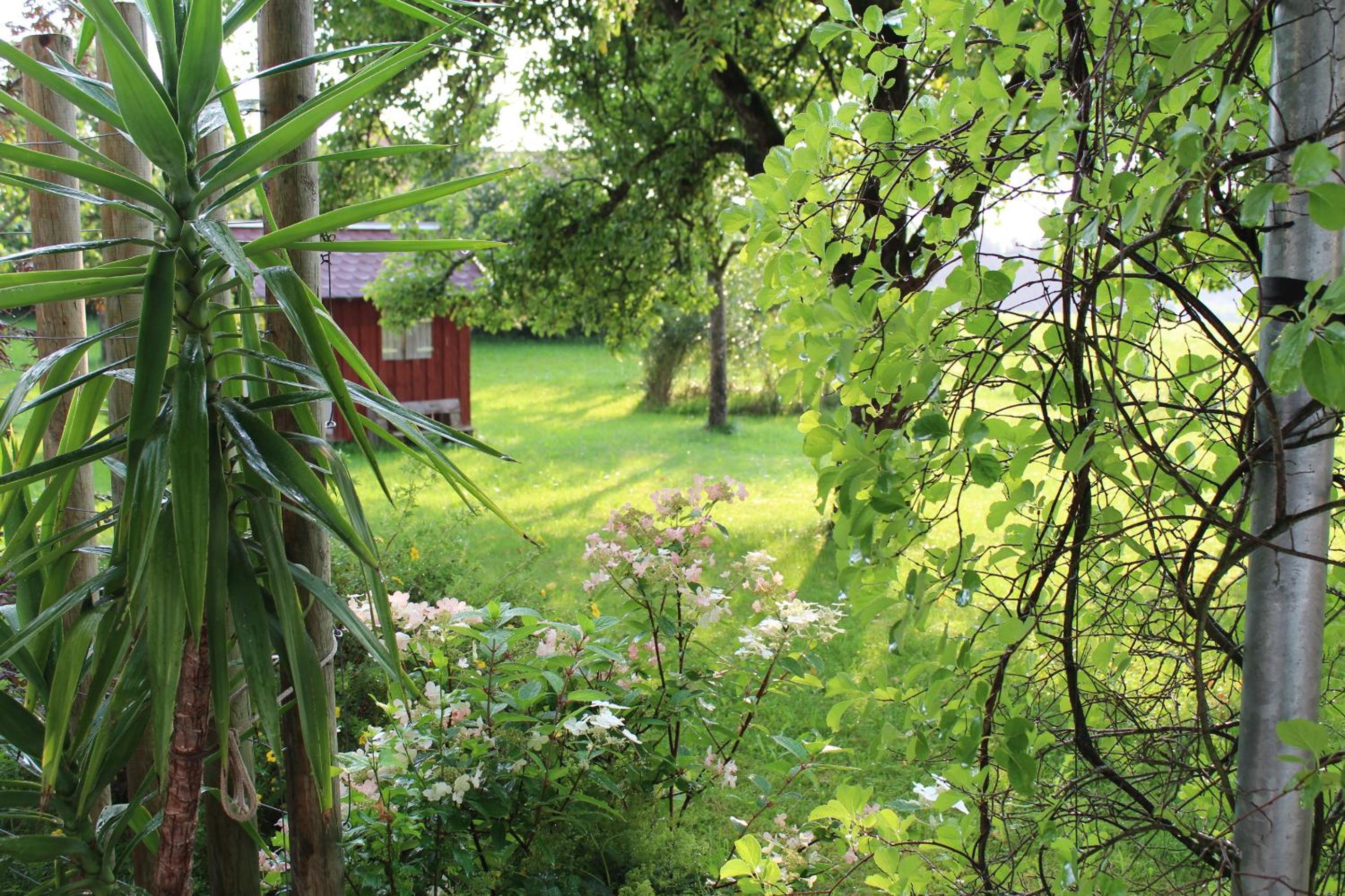 Ferienwohnung Rupp Bergblick & private Sauna