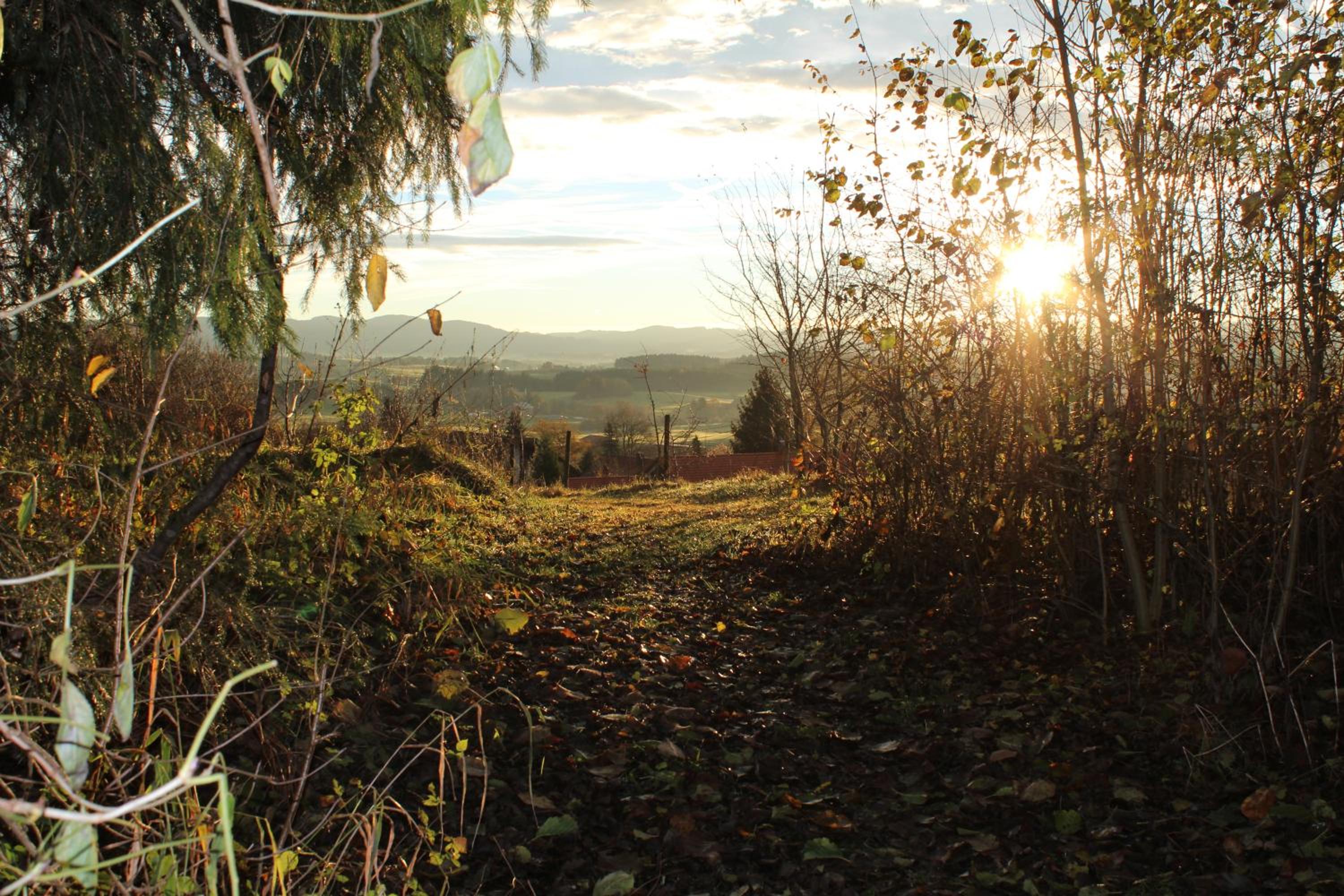 Ferienwohnung Rupp Bergblick & private Sauna