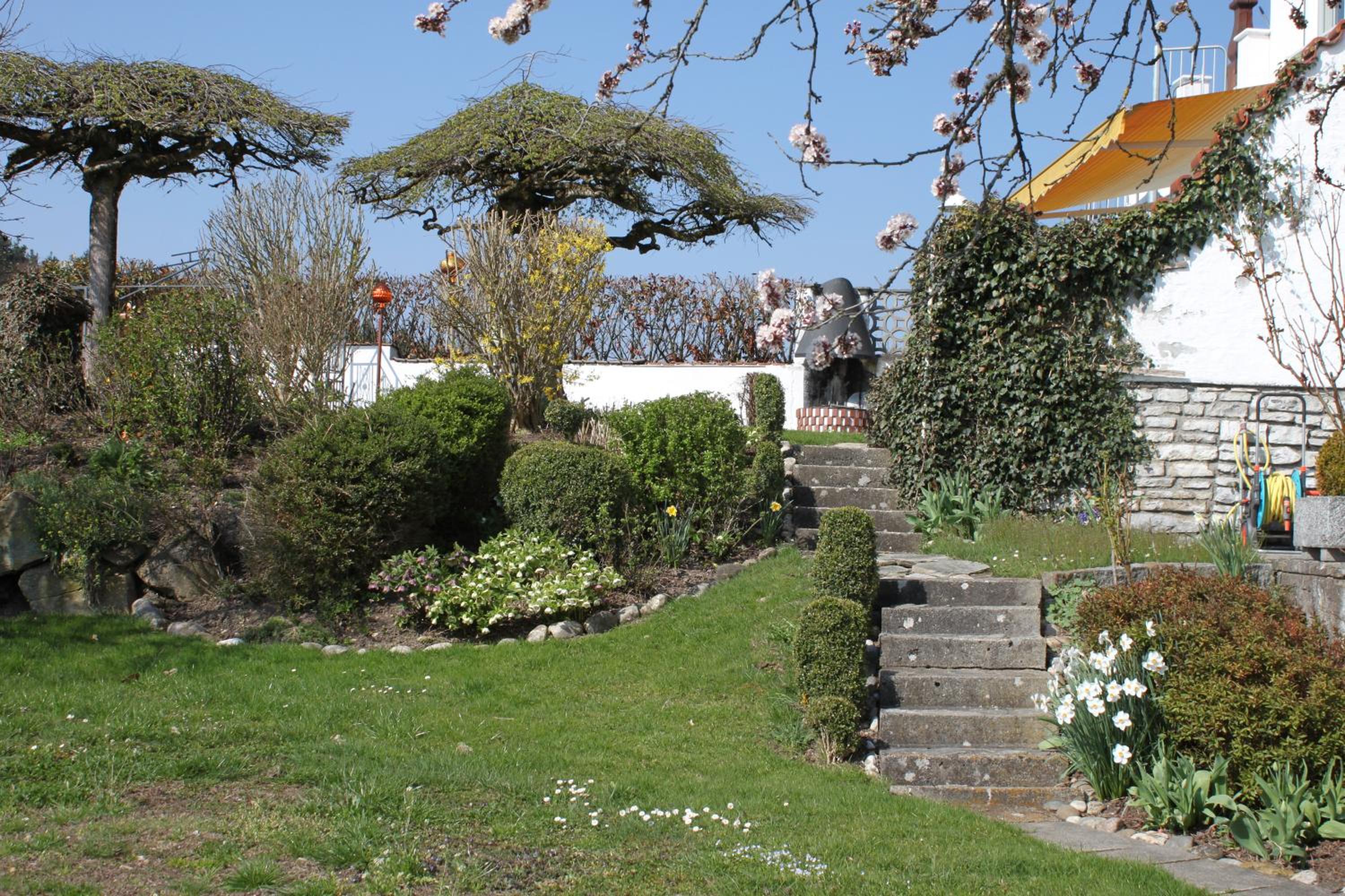 Hotel/Pension Rosengarten