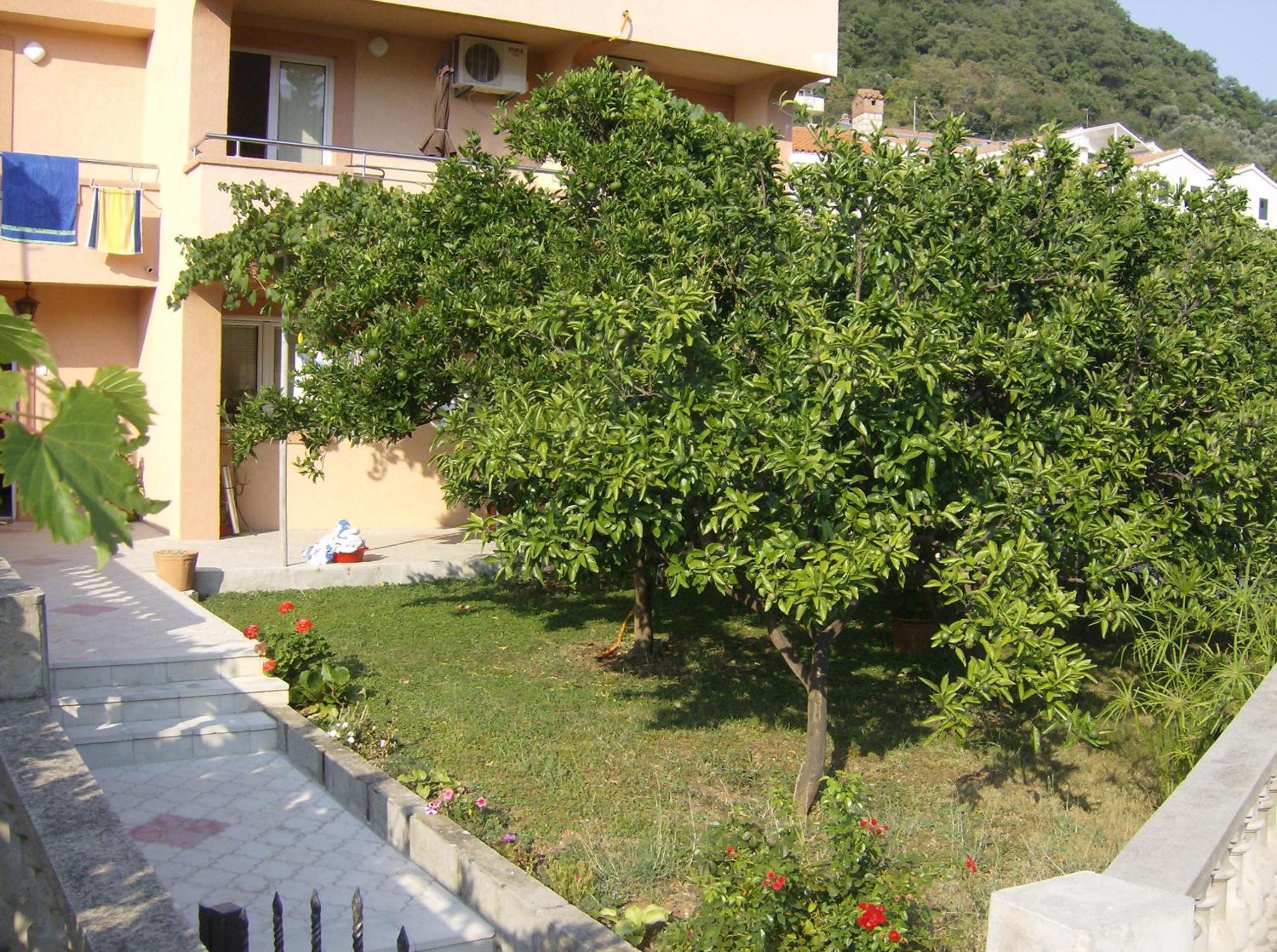 Photo 49