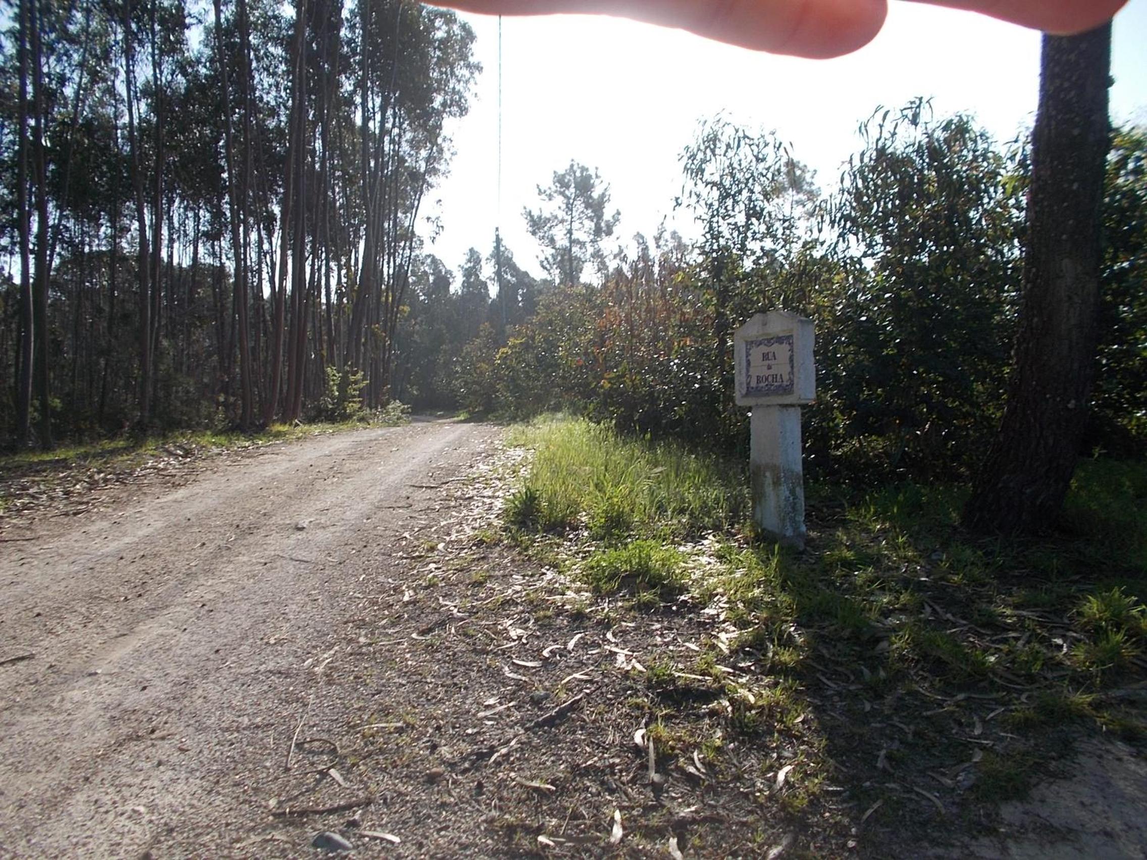 Photo 36