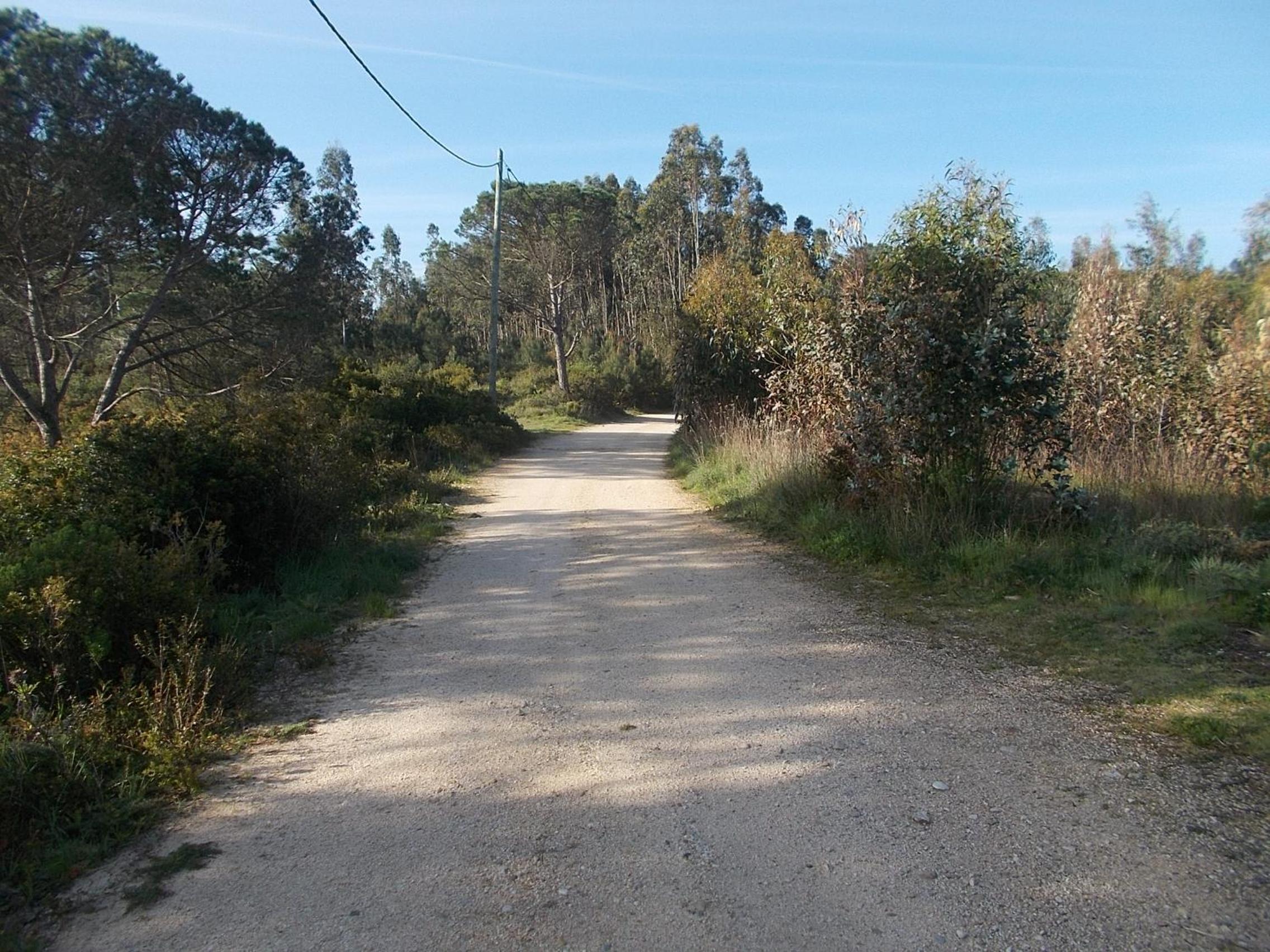 Photo 38