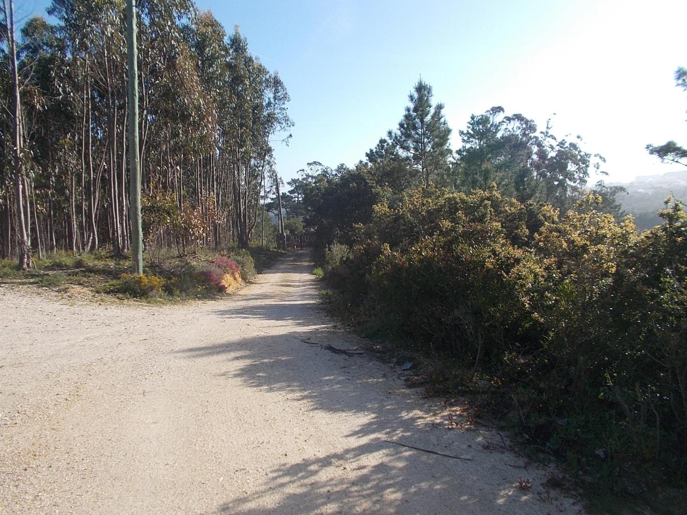Photo 37