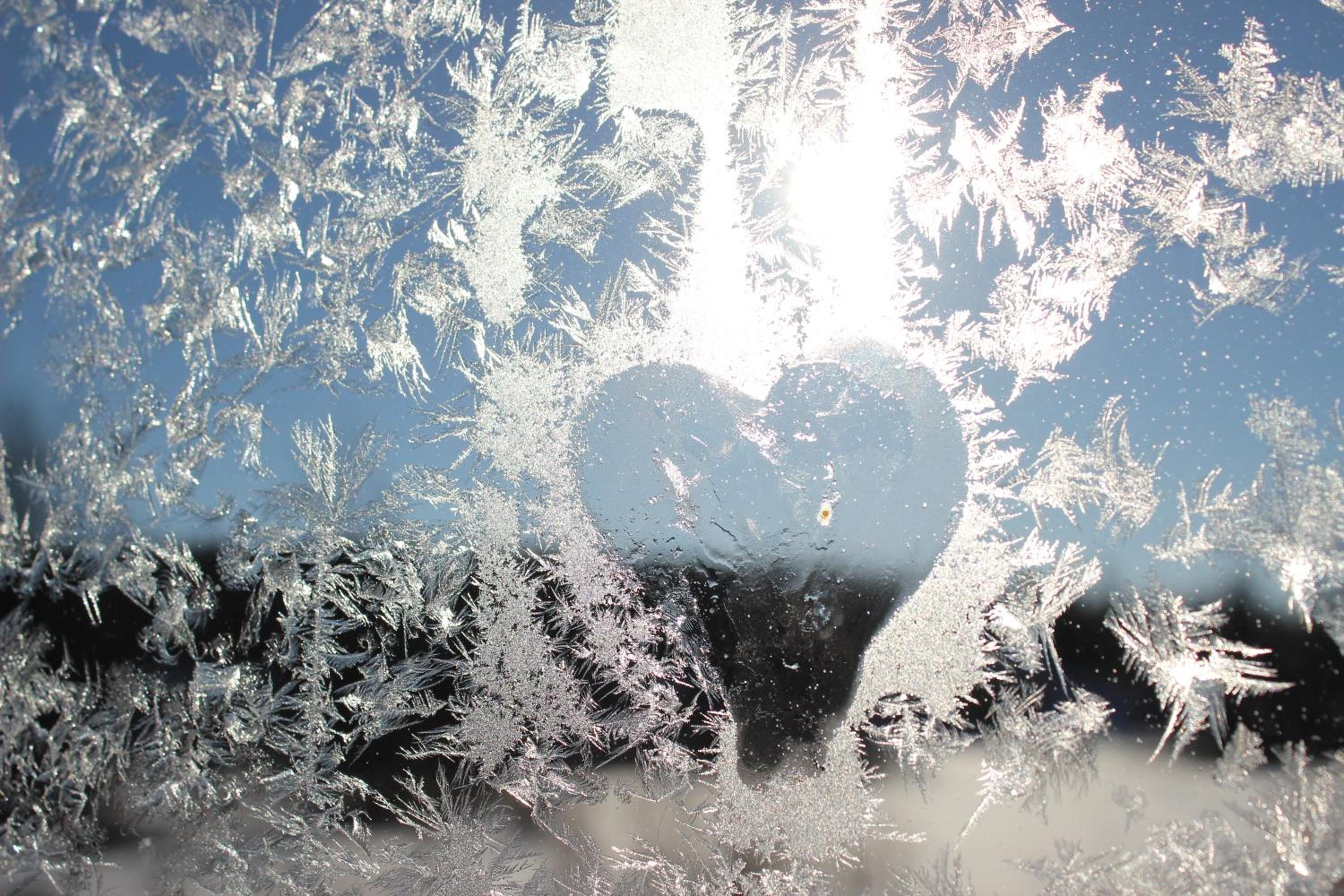 GuestHouse Arctic Heart
