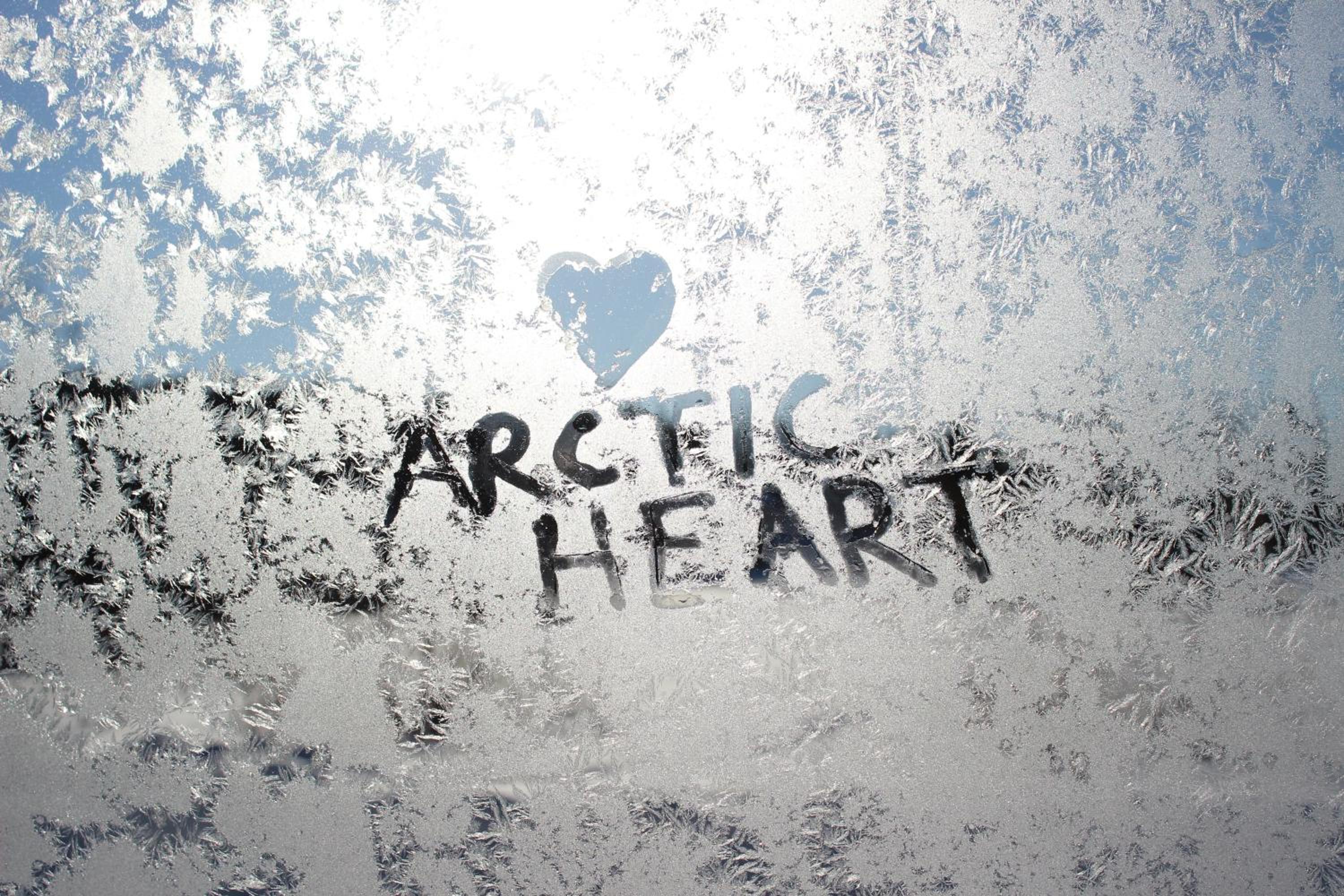 GuestHouse Arctic Heart