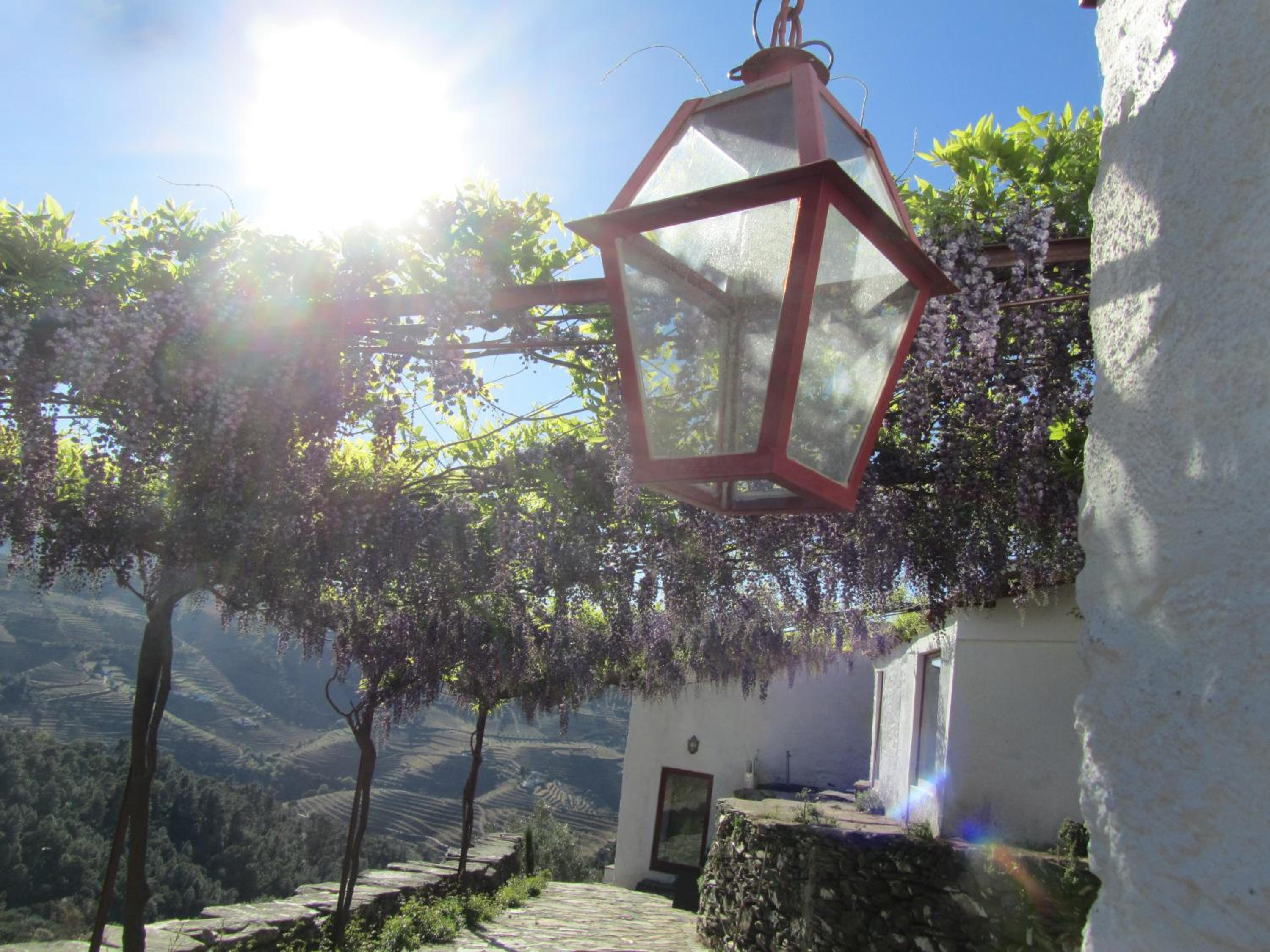 Country house Quinta da Salgueira view 5