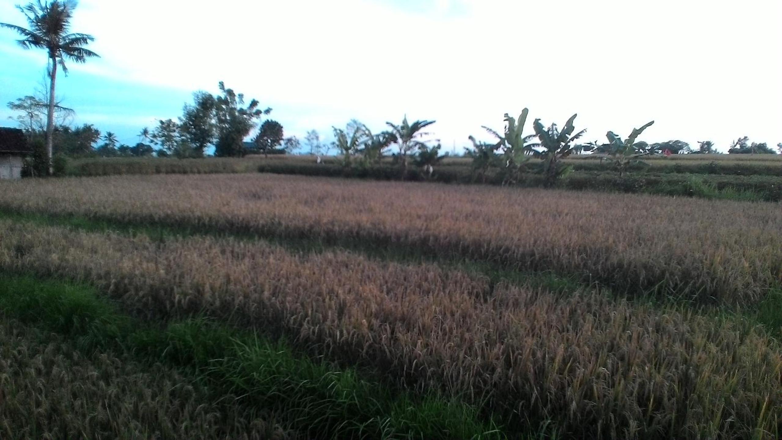 Photo 28