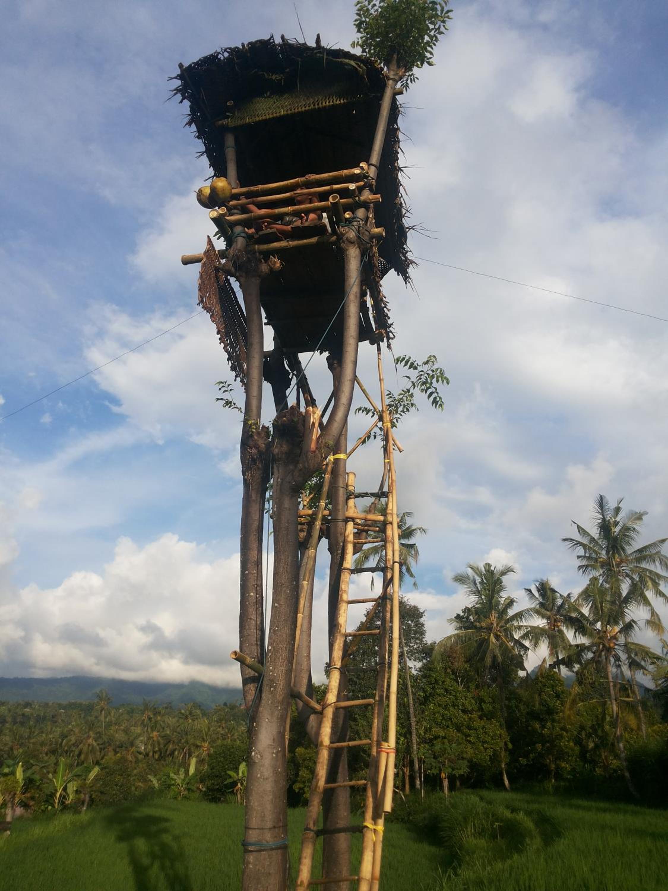 DWM ESA di Kubu Homestay By Reccoma