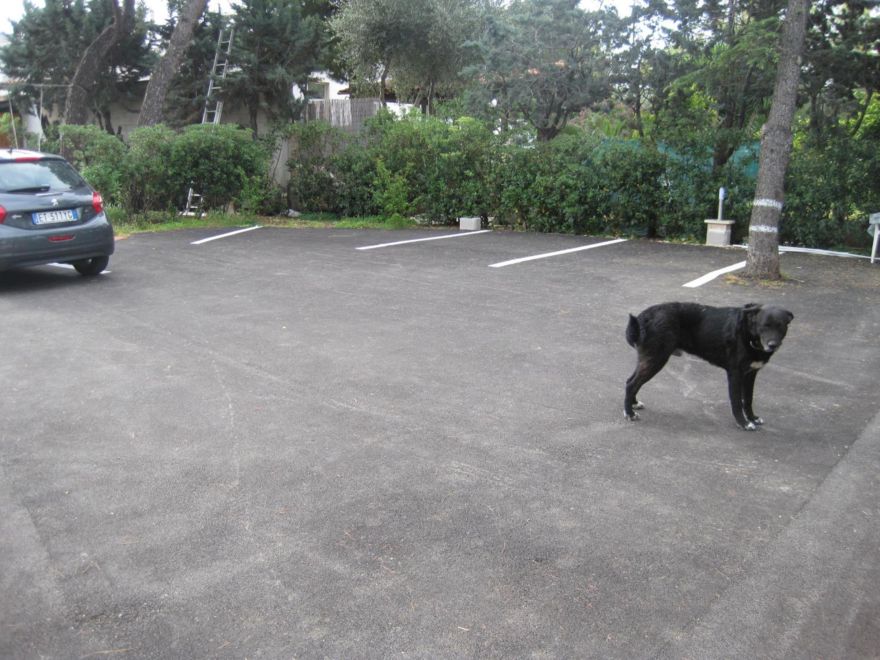 parking