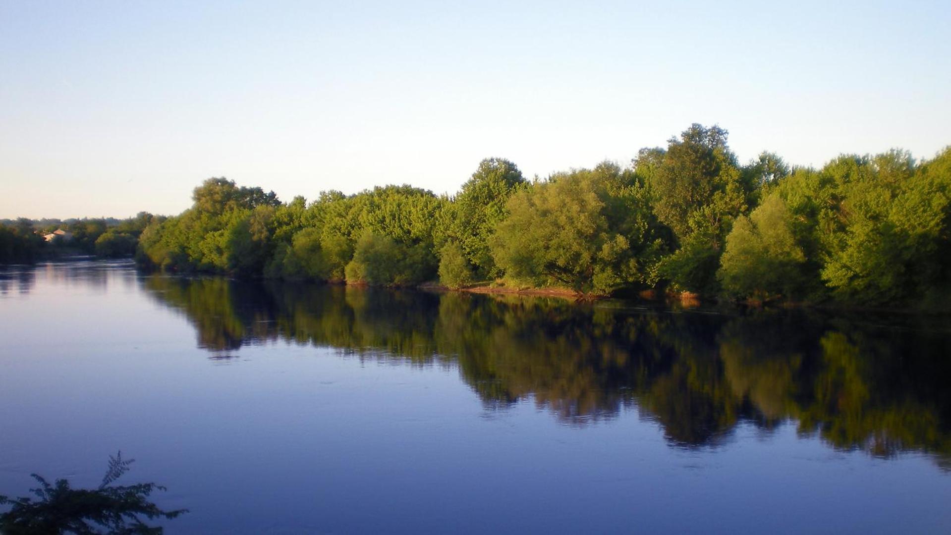 Le Manoir de la Riviere view 3